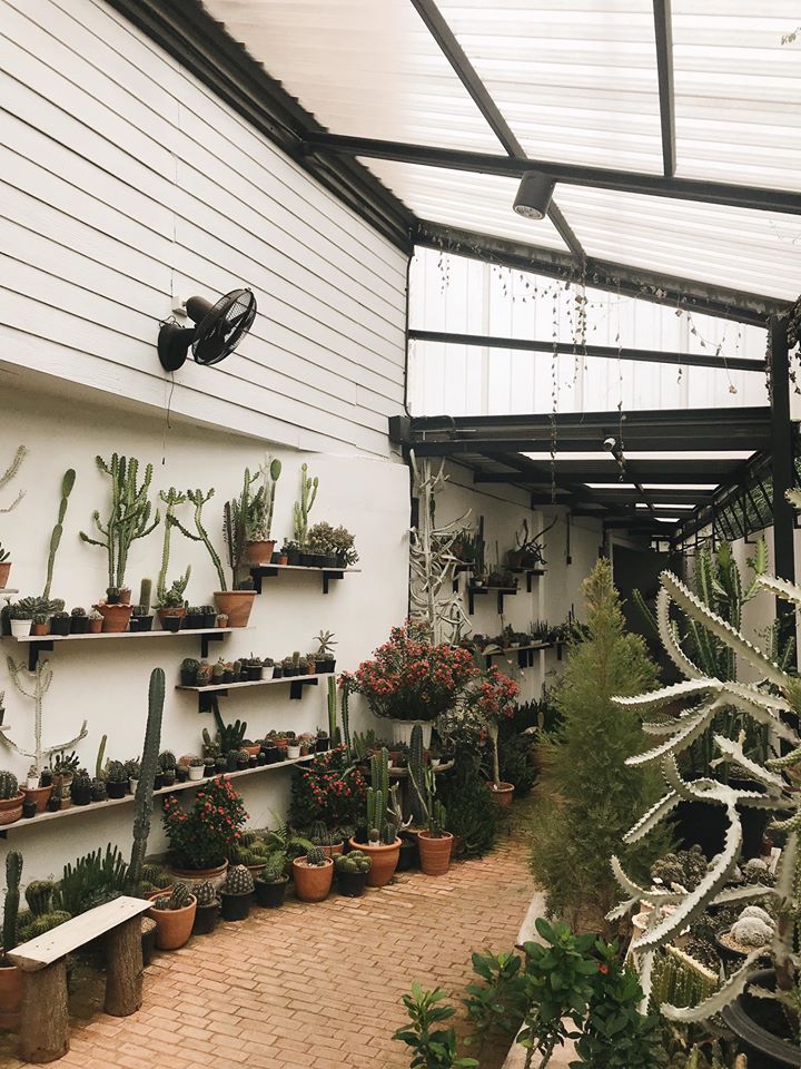 BOHO STORY CAFE, Z2 Cafe, Cafe ริมบัว กาญจนบุรี, DAY'S CAFE, RAVI RIVA CAFE, มีนา cafe', ลำยวน กาญจนบุรี