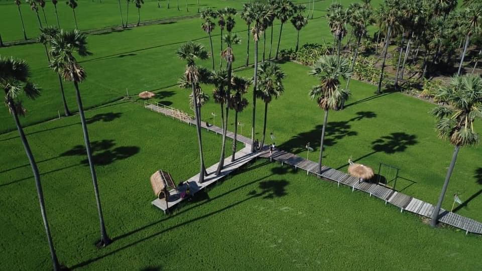 Smitten Cafe and Decor, Thong Ampai Café, THREE Cafe, Continue.cafe, Sunday in 345 cafe, Aprilhouse, The Aileen Cafe', Oliva Cafe, The Kottage Cafe, Plant Cafe, ปิ่นโตนามีตาล, Baan Kanom De'Pathum, Pumpkin Art Town, Mushroom Hut Cafe, KAD Cafe - กาด คาเฟ่, ADAM cafe