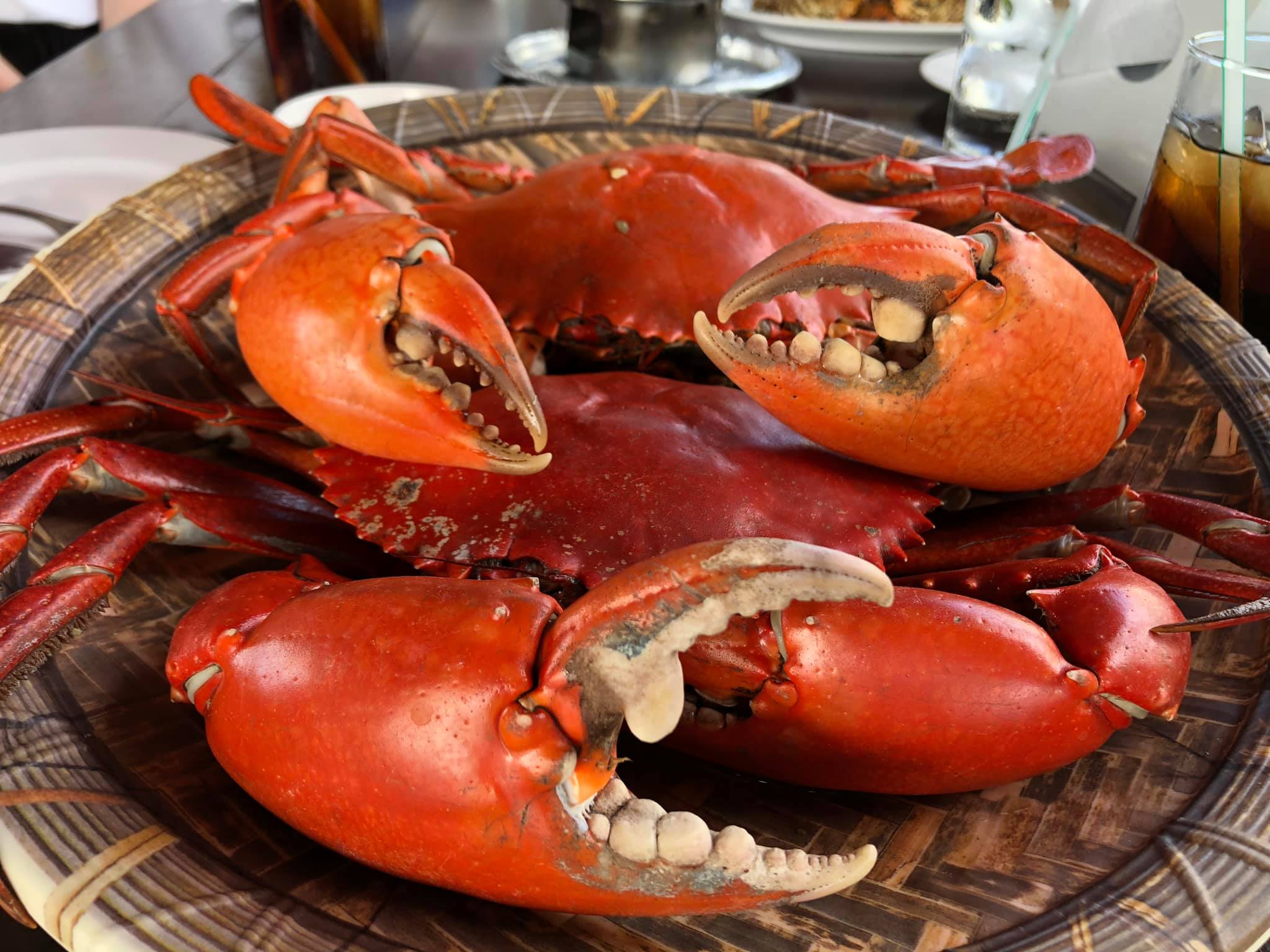 ปูเป็น SEAFOOD PATTAYA, ริมหาด ซีฟู๊ด, ลุงบอยป้ารัตน์, สาขาหาดจอมเทียน, Krua Dongtan ครัวดงตาล, ลุงไสว 1 สุดหาดจอมเทียน พัทยา, ศรีนวลซีฟู้ด, สุดเขต ทะเลเผา