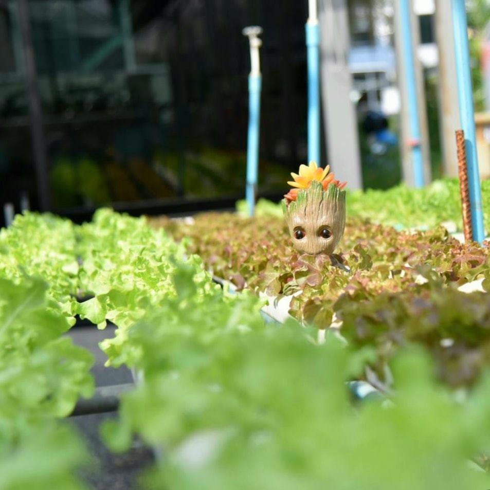 9 Salads ร้านอาหารนายน์สลัด, Kojiro Japanese Cuisine, ตามใจปรารถนา - As You Wish, Mychef Box, Suzuran sushi, บ้านสวย ในสวน, ครัวไผ่เขียว, สวนอาหารริมน้ำอนุสรา เลควิว 18, จุ่มดาดโพนยางคำ, สาขารามอินทรา 40, Blacksugar CAFE BKK, ร้าน นาย ต.เนื้อตุ๋น-วัชรพล, @19Food&amp;Farm, ซินจ่าวอาหารเวียดนาม, Chocolate Ville, Sushi Ken Ken, ครัว แสงดาวเสือ, บึงนวมินทร์, Stitch &amp; Hammer Cafe, Hiro Keki Thailand