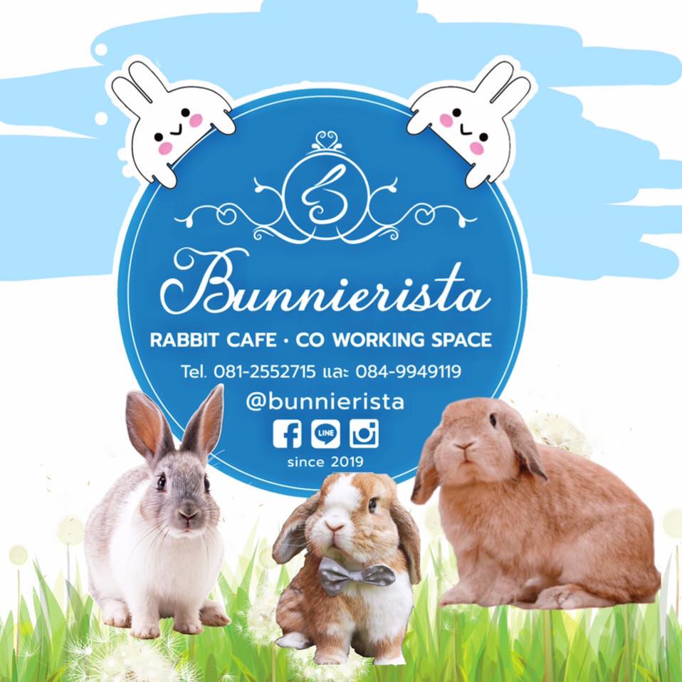 Flinders Street Cafe, Simplycafebkk, Neighbor cats koff bar, Bunnierista, Blend cafe, Hatchery, SEVENDAYS cafe & bakehouse, Smith & Rabbit Cuisine