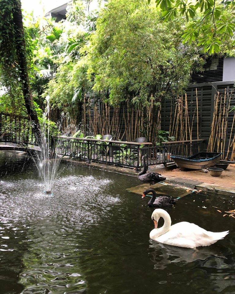 บ้านสวย ในสวน, Siam Brasserie , The Treehouse Nongchok, Natura Cafe, BaanNaiSuan Cafe&amp;Yoga, Patom, Portobello &amp; Désiré, ครัวบ้านสวนสุวรรณ, ร้านอาหารฐิตารีย์ สวนรถไฟ จตุจักร, บ้านสวน อบอวลรัก