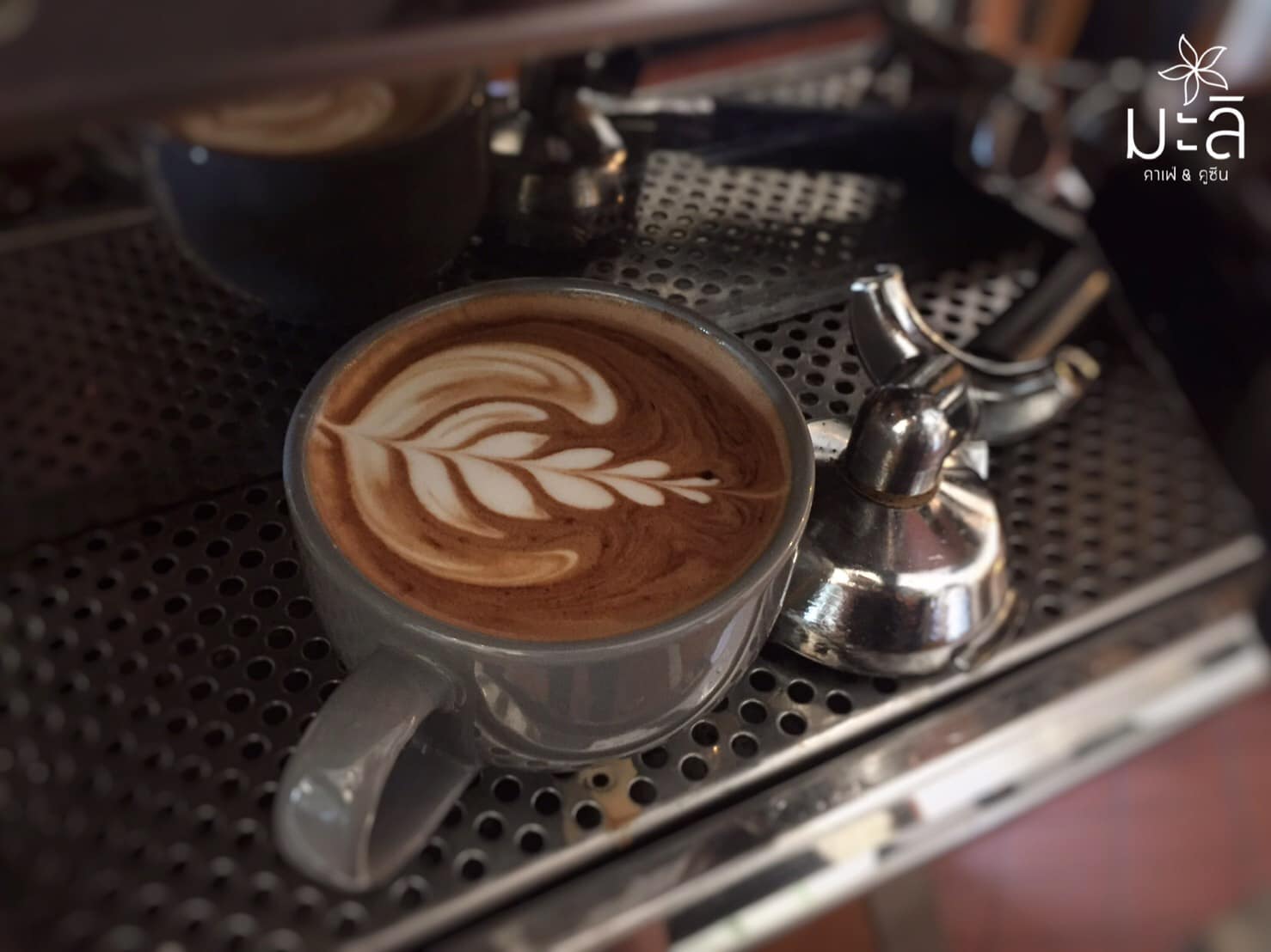 SOP Cafe, Three Mountain Café, ชื่นใจ๋, The Peace Coffee, โคโค่คอฟฟี่, Mali Cafe &amp; Cuisine, Tree Shade, Smallroom cafe passion, อาตี๋โกปี๊, Tara Coffee, In Cafe, Thanks, CORO FIELD, White Cacti