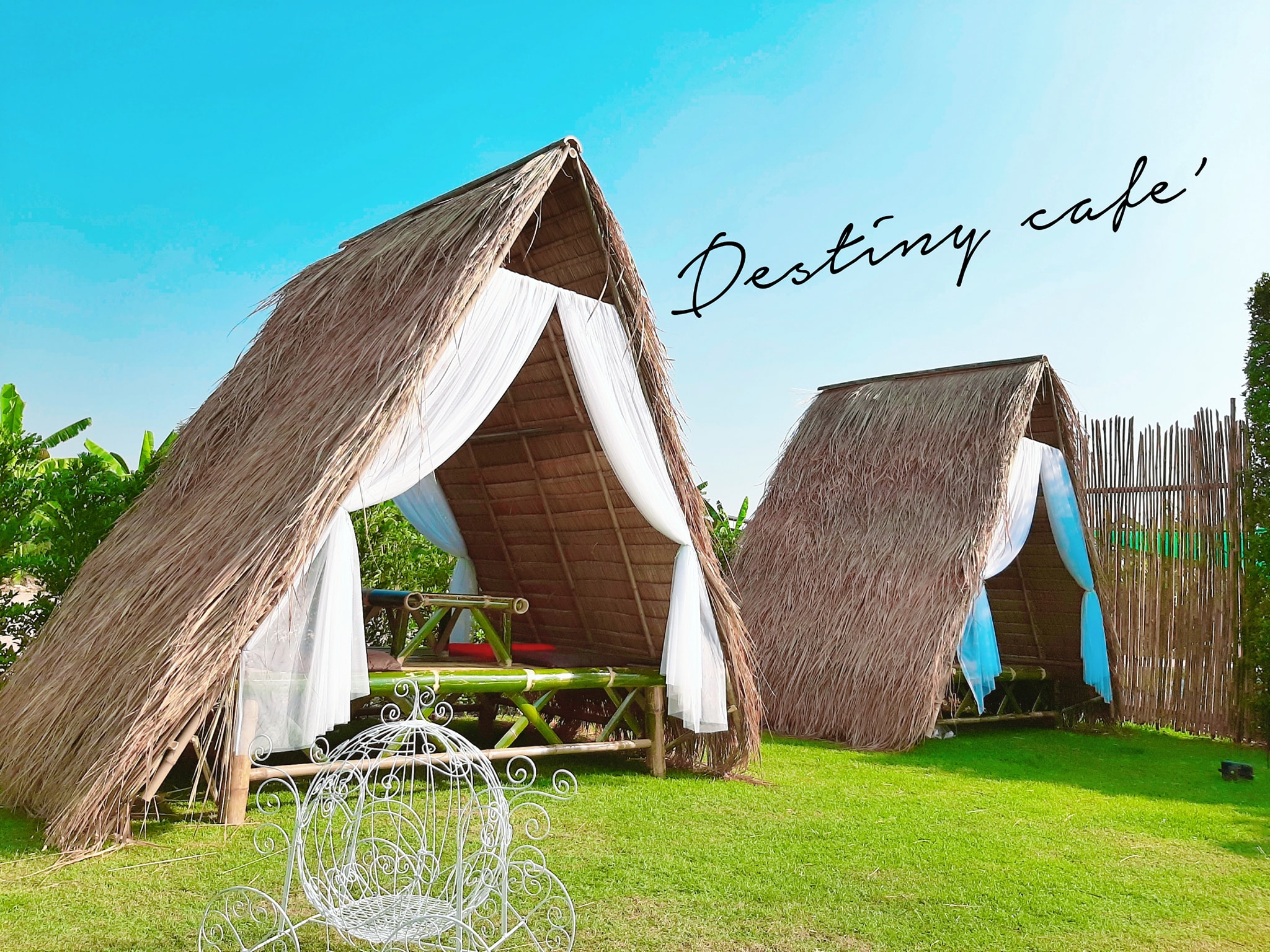 Autumn haus, YOJU Cafe, Lemon Me Farm, STARTCafé, Lot no.8 cafe, 23 cafe and bistro, STAY WITH TREE cafe, April Flavors cafe, Destiny cafe', บ้านปายนา, DUBUA CAFE, House of Chandra - เสน่ห์จันทน์ , 11 Elephant Dessert Cafe, Hangar Cafe', Merce Cafe & Restaurant, Ton Khao Terrace, O2 Kaffee & Bistro, Pomelo Cafe, Little tree, Chinu Coffee