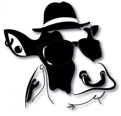 หมีตีพุง, ชาบูตัวดี, Shabu ไร่ขิง สามพราน, Yang Chill - ย่างชิลล์, ตะวันหมูกะทะ &amp; ชาบู