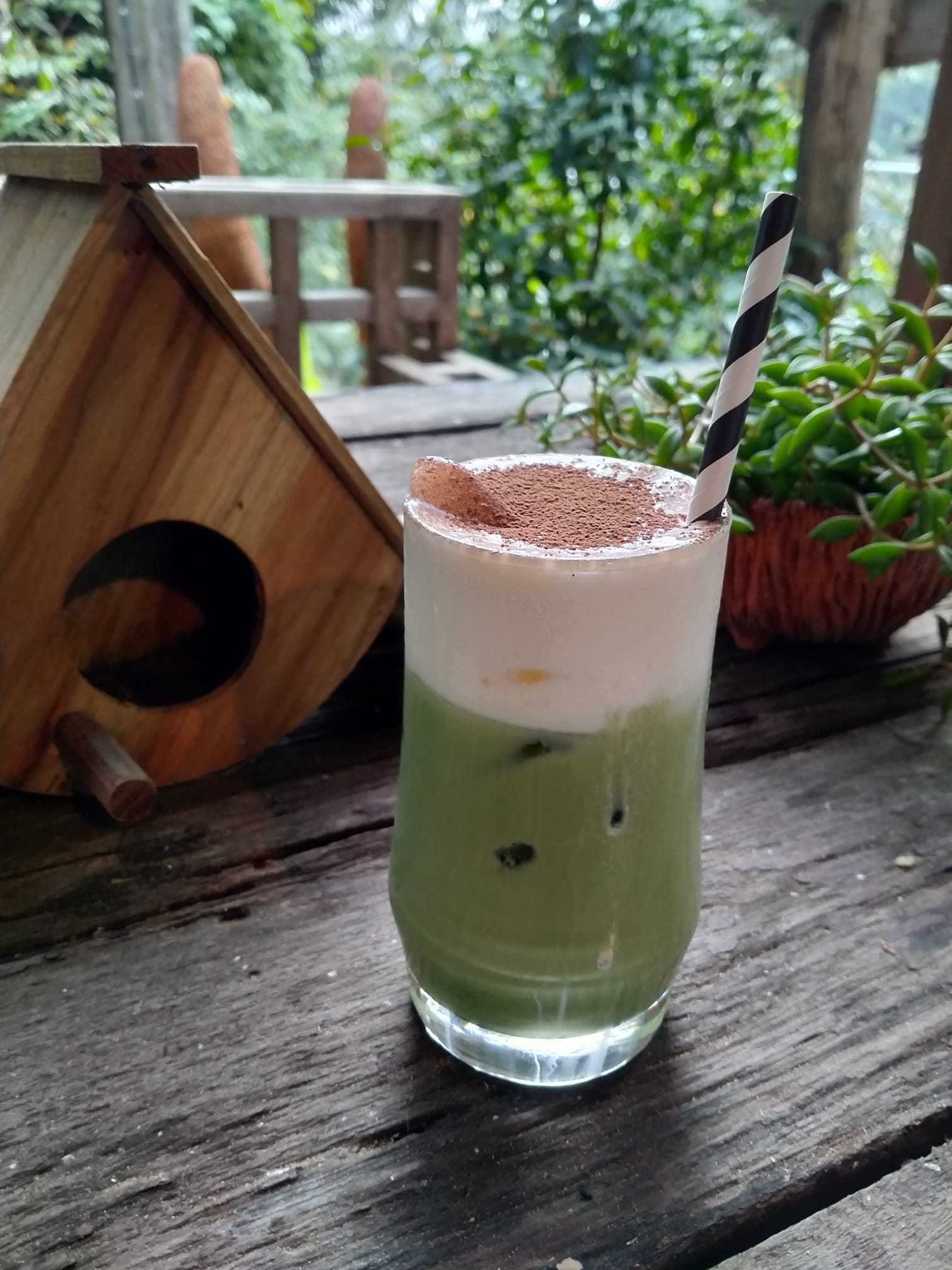 Treespresso cafe, Vigie Sist Café, Aki Choux Cream, Polaris Sunrise Café, MOJI Pool.Villa.icecream, MYTH OVEN, KonJohn coffee slowbar, Eleven Pillar Site, Home’S, Koffandthings.th, Playworks.cafeart, Tree of Life Cafe, Kramfeine, Millilit Cafe, TOMATO.cafe.cnx, MITTE MITTE, Soul Café mju, ZOHNG Coffee, ALSO cafe, Coffee Ngeggee, Graincafe.cnx, Later on cafe, สุขพอดี, FERN FOREST CAFÉ, Forest Bake, ภูฟิน, CHEEVIT CHEEVA, GoodVibes Cafe-Cnx, Chic 39, Zombie Café, Ristr8to, Neo Cafe', ชมนกชมไม้, เก้าคาเฟ่ นิมมาน