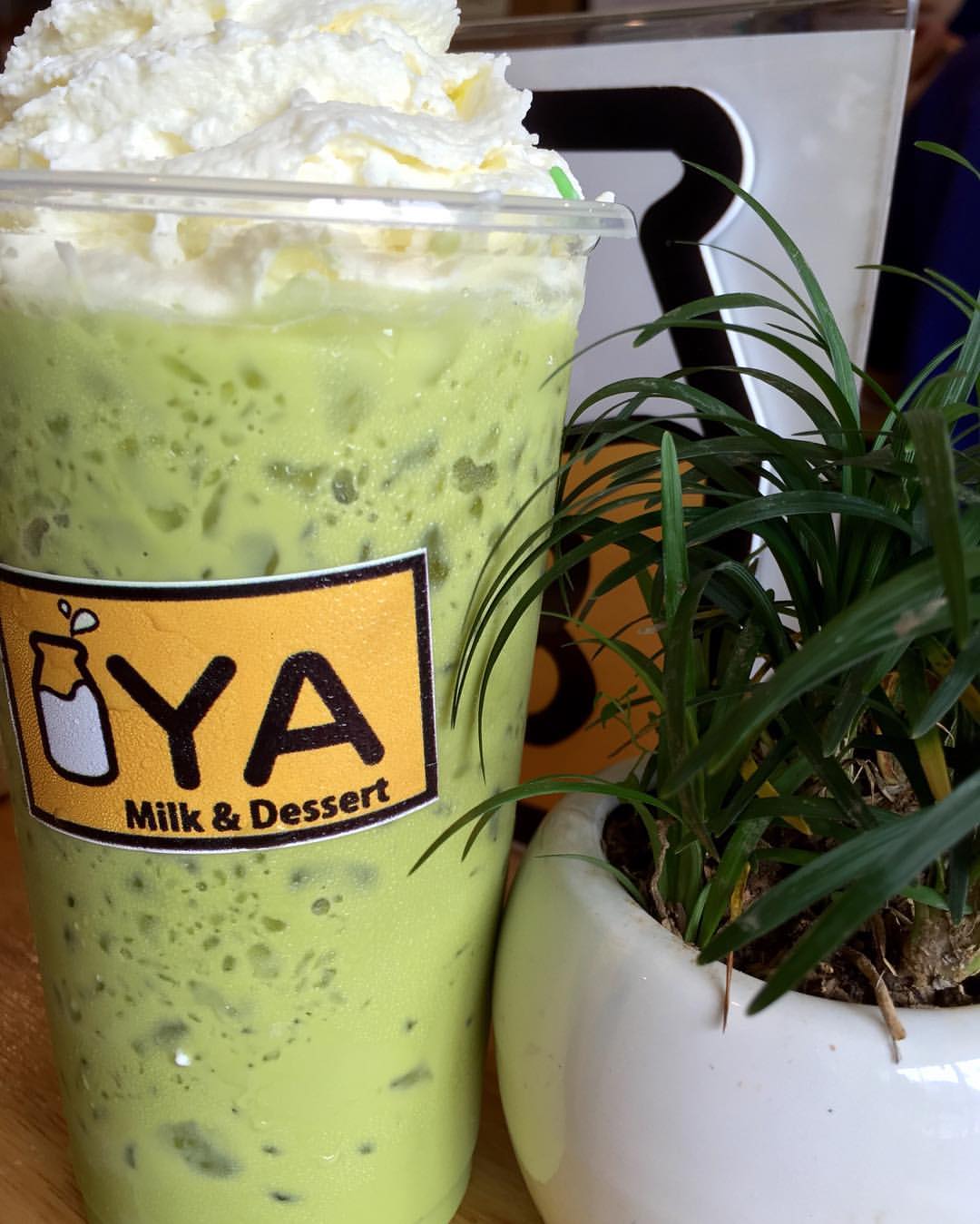 Mixirista Lampang, TIN’N, Wooden House Cafe', Karpenter cafe&amp;bake, Secret Garden Cafe, บ้านนอกคาเฟ่, Kin Cafe' Lampang, ณ หิรัญ คาเฟ่, Himwang Café, ไอหย๋า ปังนม, Dezato Cafe, อาร์มแชร์ คาเฟ่, โก๋กาแฟ ธรรมดาเป็นพิเศษ, Nalalin Home Cafe-Lampang, NOP Cafe&amp;Bistro, ก๋างต้ง, Moungngwezin