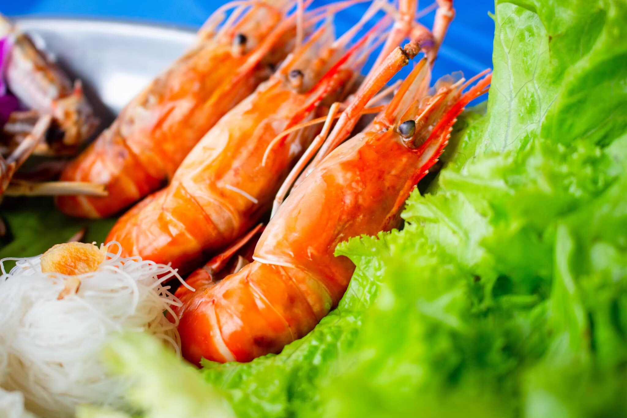 RARIN : BKK Riverside Venue, บ้านเอกเขนก ชัยพฤกษ์, The local Restaurant, Waterside Karaoke Restaurant, พหลวิว, River Wine Karaoke Restaurant, Green Bar and Restaurant, Chocolate Ville, Hard Rock Cafe Bangkok