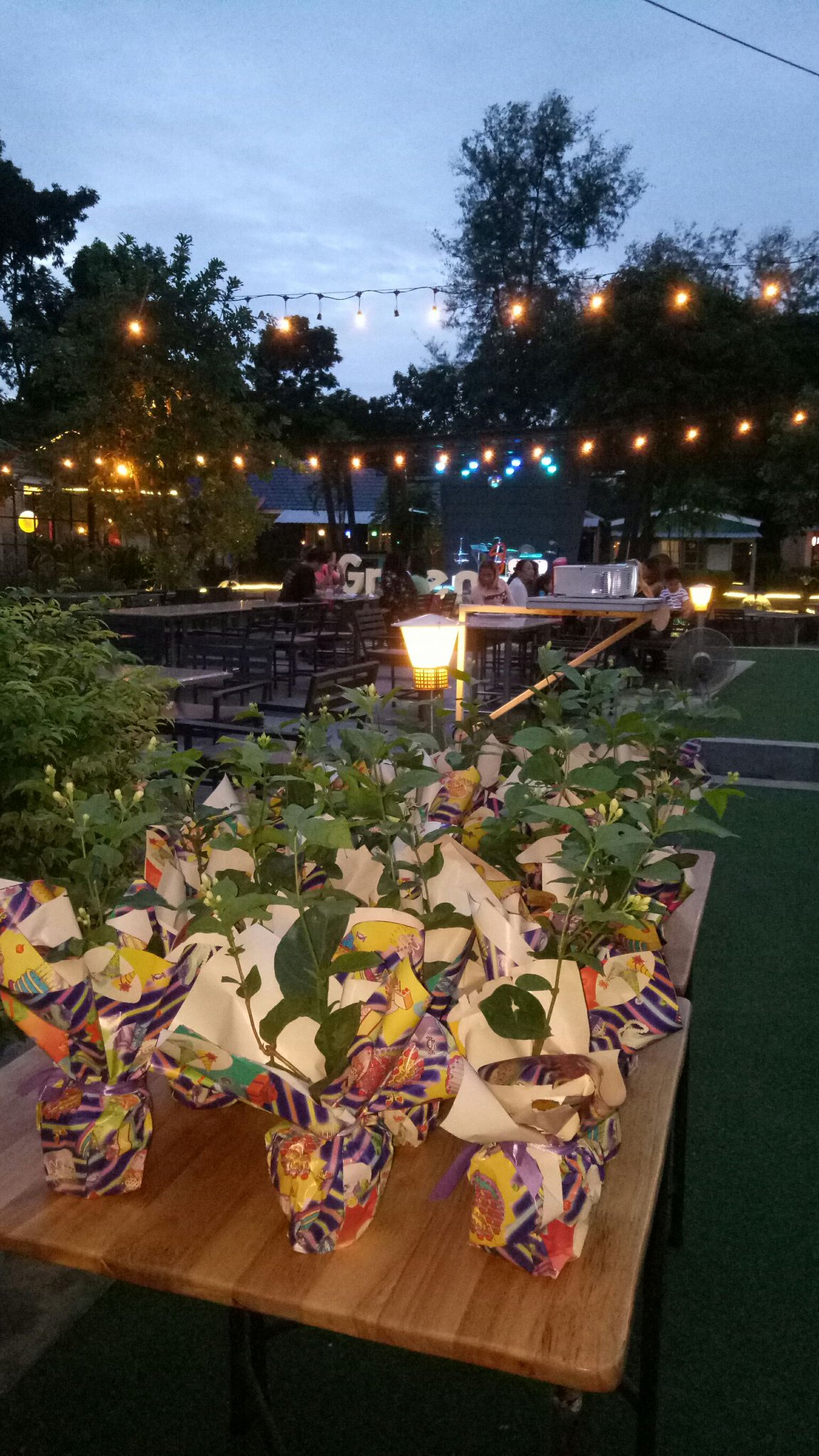 RARIN : BKK Riverside Venue, บ้านเอกเขนก ชัยพฤกษ์, The local Restaurant, Waterside Karaoke Restaurant, พหลวิว, River Wine Karaoke Restaurant, Green Bar and Restaurant, Chocolate Ville, Hard Rock Cafe Bangkok