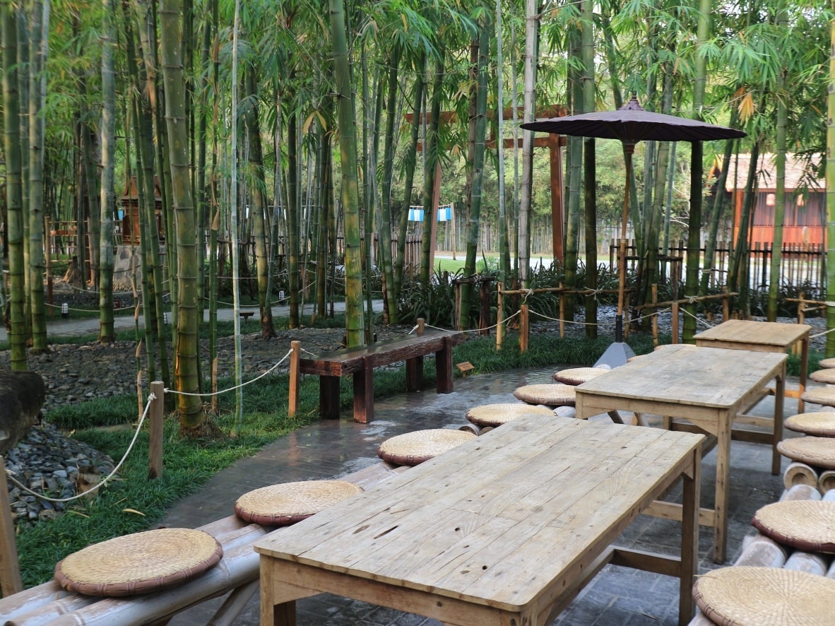 Matchappen, DWBH CAFE, Minna Matcha, Magokoro Teahouse, Nekoemon Cafe Chiang Mai