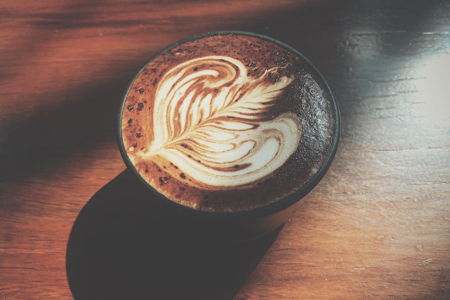 NANA Coffee Roasters, Mmc.bkk, FO SHO BRO, Dear December Cafe, The 66 Cottage, The Black Forest, Bougain Cafe &amp; Crafts, La Mesa Coffee Co., Coffee Station, Gooseberry Coffee Bearing-Lasalle, OOOz.cafe , Shalala Cafe