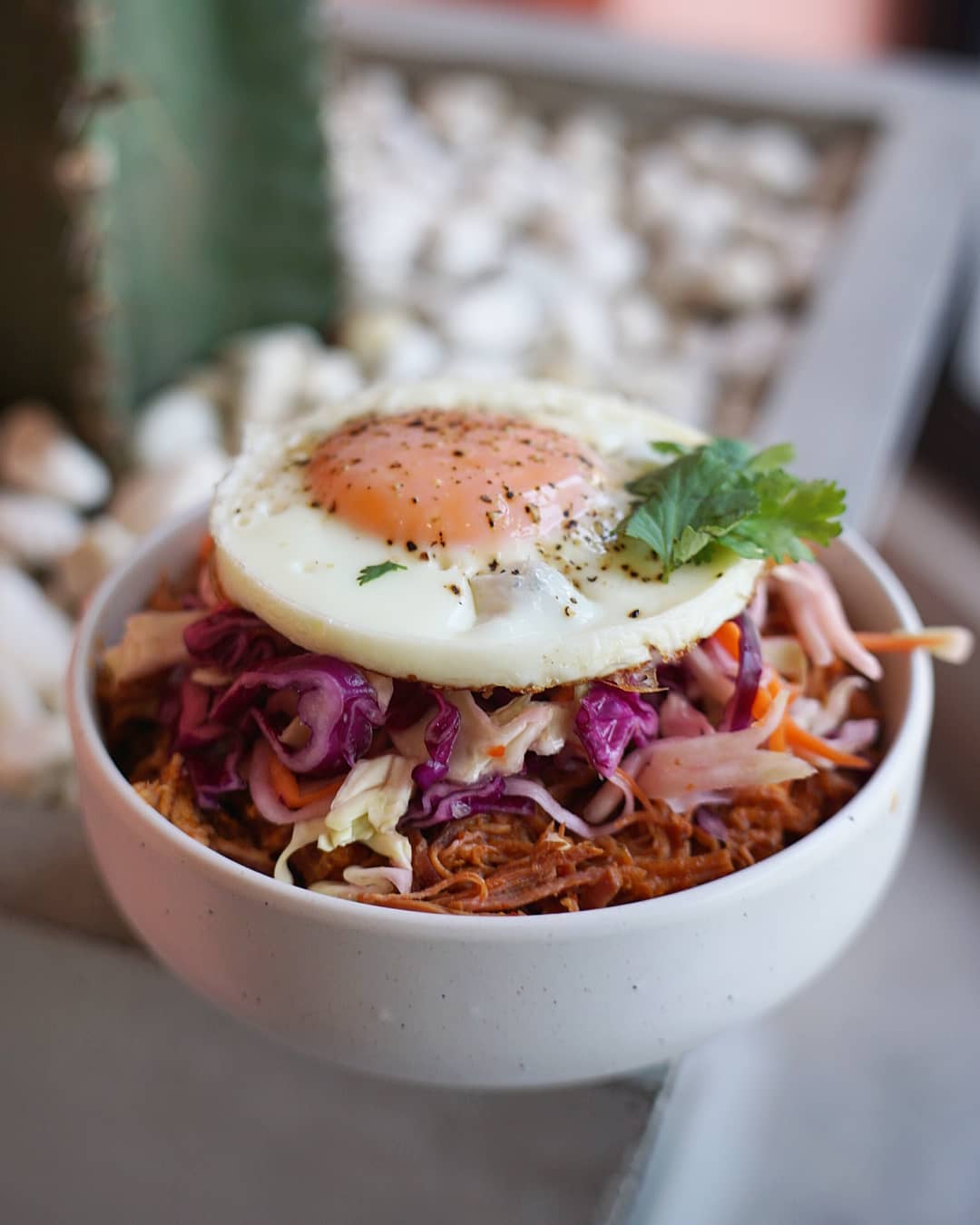 NANA Coffee Roasters, Mmc.bkk, FO SHO BRO, Dear December Cafe, The 66 Cottage, The Black Forest, Bougain Cafe &amp; Crafts, La Mesa Coffee Co., Coffee Station, Gooseberry Coffee Bearing-Lasalle, OOOz.cafe , Shalala Cafe