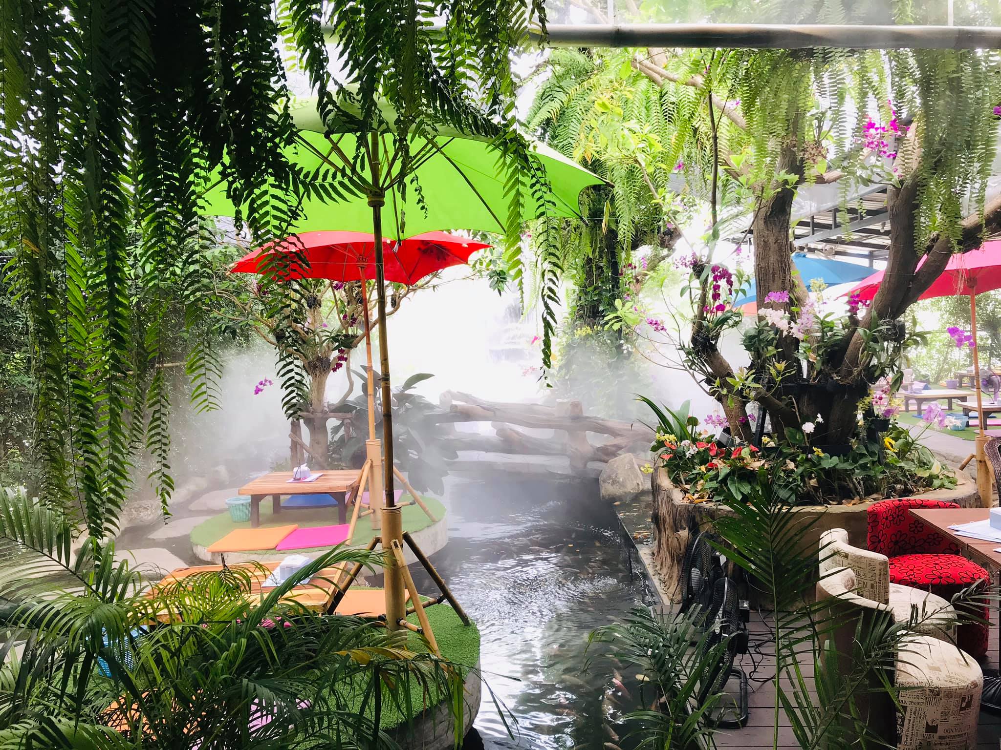 Cafeccini, Bootcamp Cafe, SUNKISS.bangkok, Nine Cafe, บ้านและเกสร, Dog Country Cafe, Kaffeehaus, คาเฟ่ บ้านหมี, หวานกรอบ Farm &amp; Cafe, Mamaison cafe, แสงตะวันฟาร์ม เมล่อนสาย4