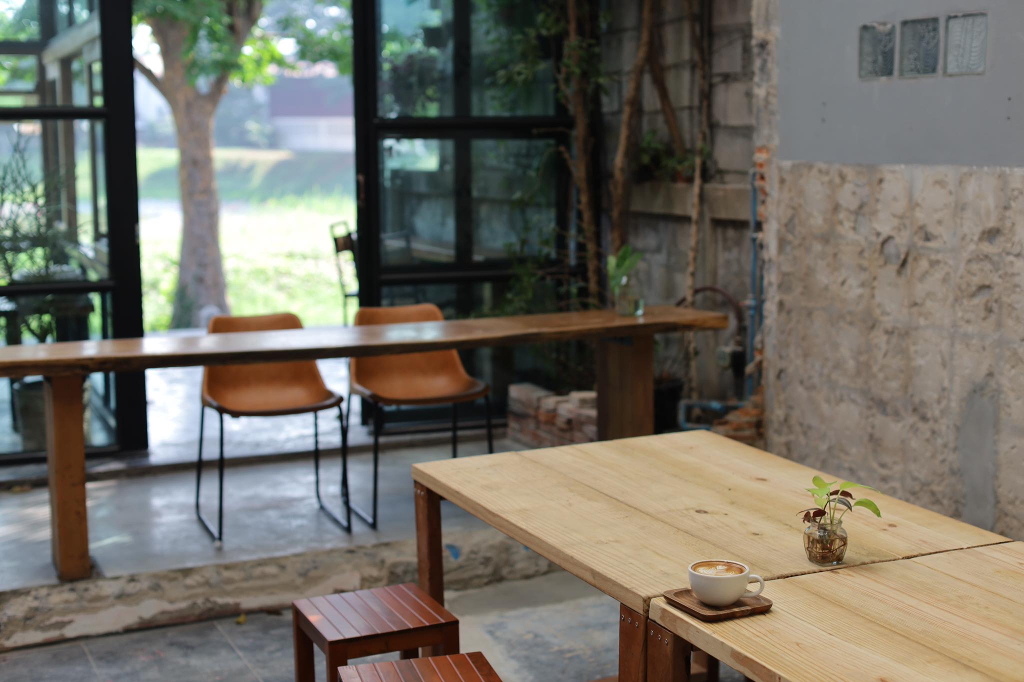 White House Forest, เกษม : KASEM Coffee, Rosie.nak, Luk Labb Coffee, Grande KAFE, KFD in Town, สวรรค์บ้านนา คาเฟ่ Food &amp; Drink, กอหญ้า คาเฟ่, ณ บุ่ง Coffee, polar polar CAFE', Yellow Pumpkin, ร้าน Yellow Pumpkin เปิดบริการตามปกติ 11.00-17.00 น. (ปิดวันพฤหัสบดี), I'm home cafe, ประจำอำเภอ, glinfon, 382 Space Café, La-Moon cafe'