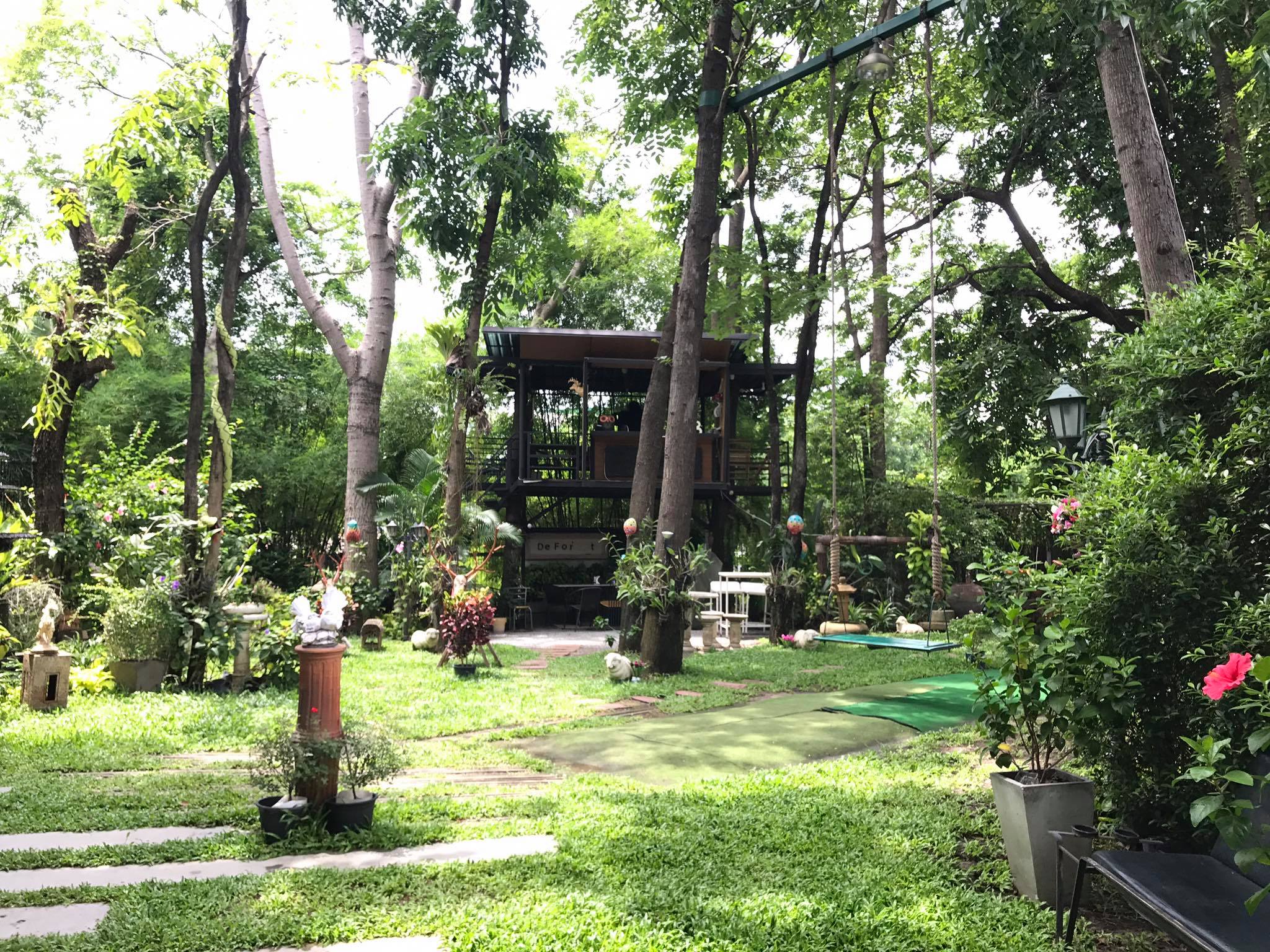 White House Forest, เกษม : KASEM Coffee, Rosie.nak, Luk Labb Coffee, Grande KAFE, KFD in Town, สวรรค์บ้านนา คาเฟ่ Food &amp; Drink, กอหญ้า คาเฟ่, ณ บุ่ง Coffee, polar polar CAFE', Yellow Pumpkin, ร้าน Yellow Pumpkin เปิดบริการตามปกติ 11.00-17.00 น. (ปิดวันพฤหัสบดี), I'm home cafe, ประจำอำเภอ, glinfon, 382 Space Café, La-Moon cafe'