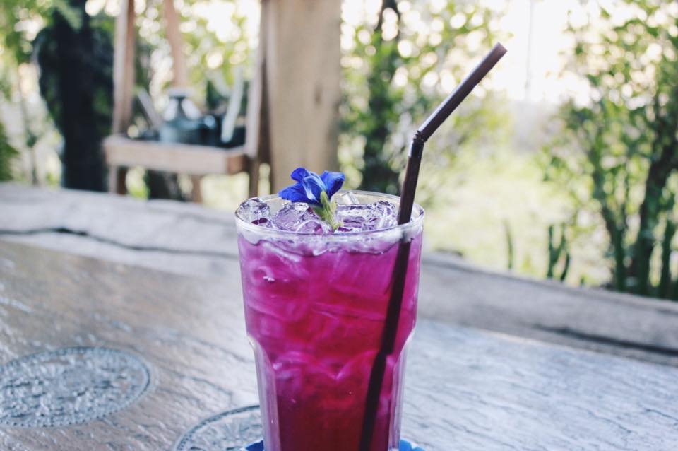 White House Forest, เกษม : KASEM Coffee, Rosie.nak, Luk Labb Coffee, Grande KAFE, KFD in Town, สวรรค์บ้านนา คาเฟ่ Food &amp; Drink, กอหญ้า คาเฟ่, ณ บุ่ง Coffee, polar polar CAFE', Yellow Pumpkin, ร้าน Yellow Pumpkin เปิดบริการตามปกติ 11.00-17.00 น. (ปิดวันพฤหัสบดี), I'm home cafe, ประจำอำเภอ, glinfon, 382 Space Café, La-Moon cafe'