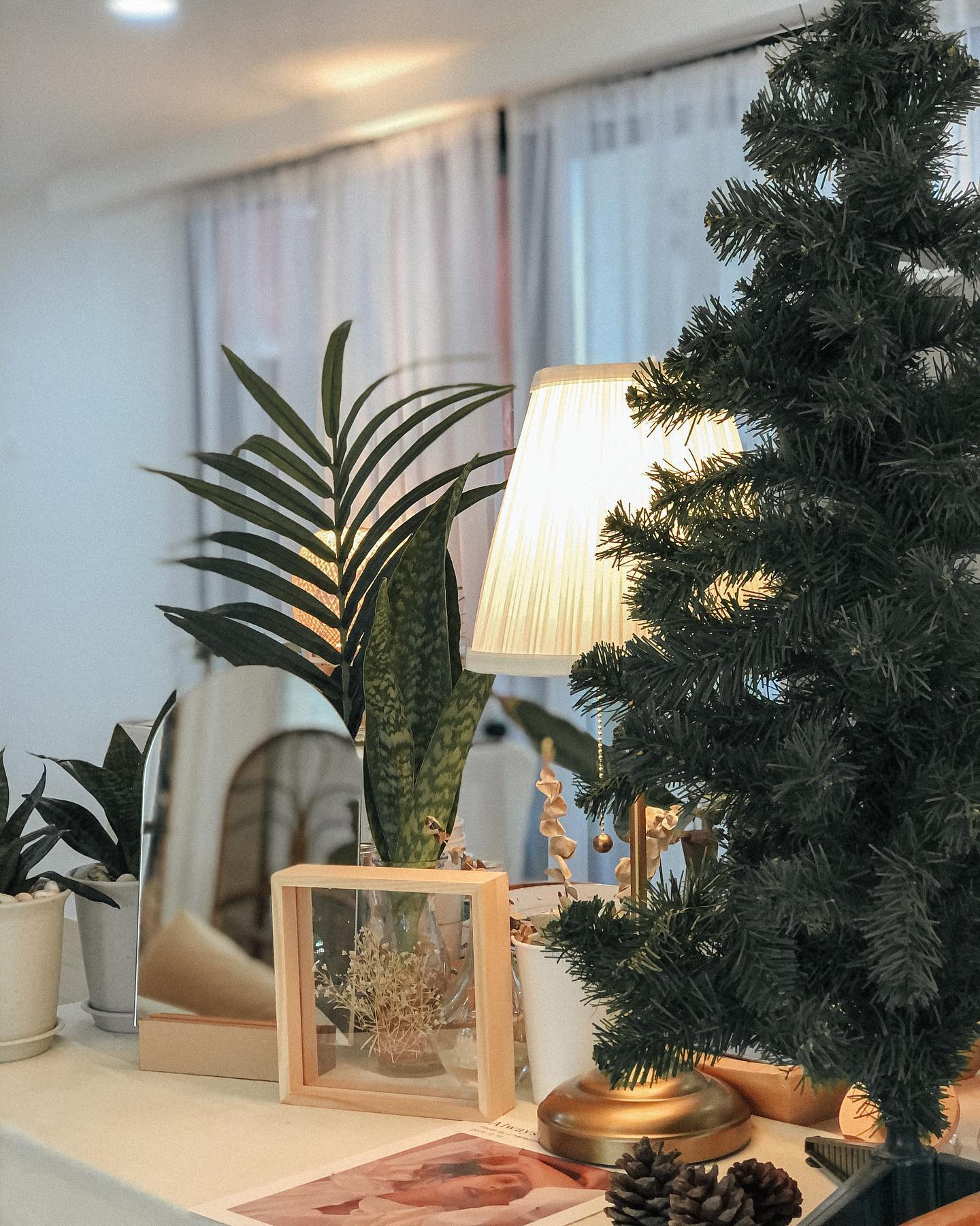 MOONSTo̲̲NE, Bread Crumbs Cafe, Happy Cafe and Minifarm, เสื่อผืน หมอนใบ, WA-Phuket, Honest Coffee &amp; Service, Grove Phuket, RYN, DouBrew Coffee &amp; Craft, The Tent, หนัง(สือ)2521