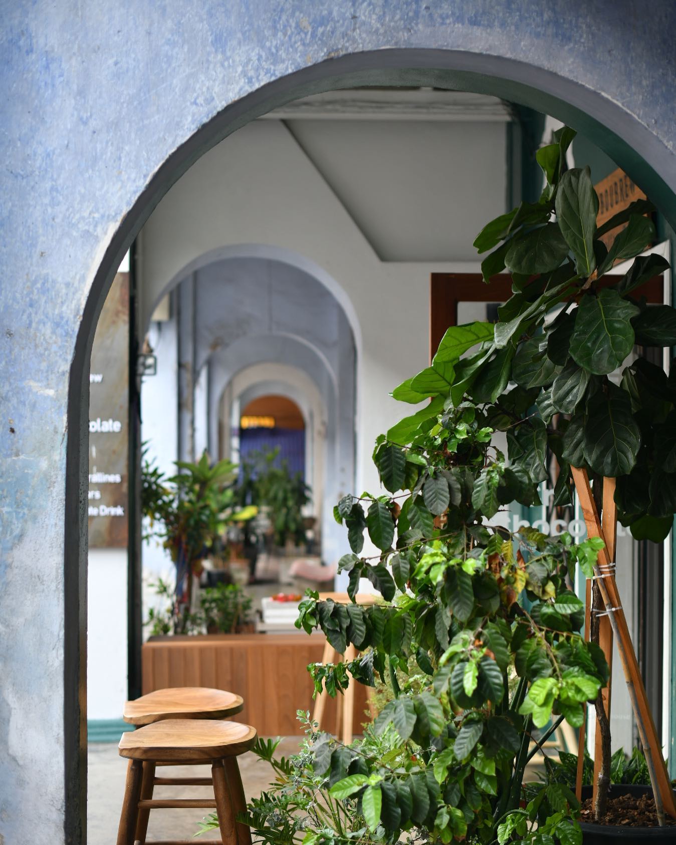 MOONSTo̲̲NE, Bread Crumbs Cafe, Happy Cafe and Minifarm, เสื่อผืน หมอนใบ, WA-Phuket, Honest Coffee &amp; Service, Grove Phuket, RYN, DouBrew Coffee &amp; Craft, The Tent, หนัง(สือ)2521