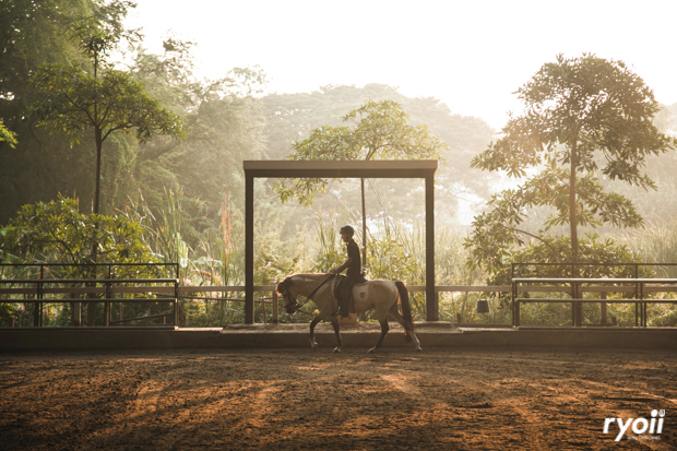 Pizzeria Limoncello, เชฟถนอม, กลมกล่อม BY CHEF AKE, Ciao Pizza, Pizza Aroy, Pizza Massilia, Grazie Pizzeria, The Garden Dough, Lanta Pizzeria, Mama Dolores, PizzaPazza, Dressage Horse Café, Pizzazo, Shelter Pizza พิซซ่าเตาถ่าน