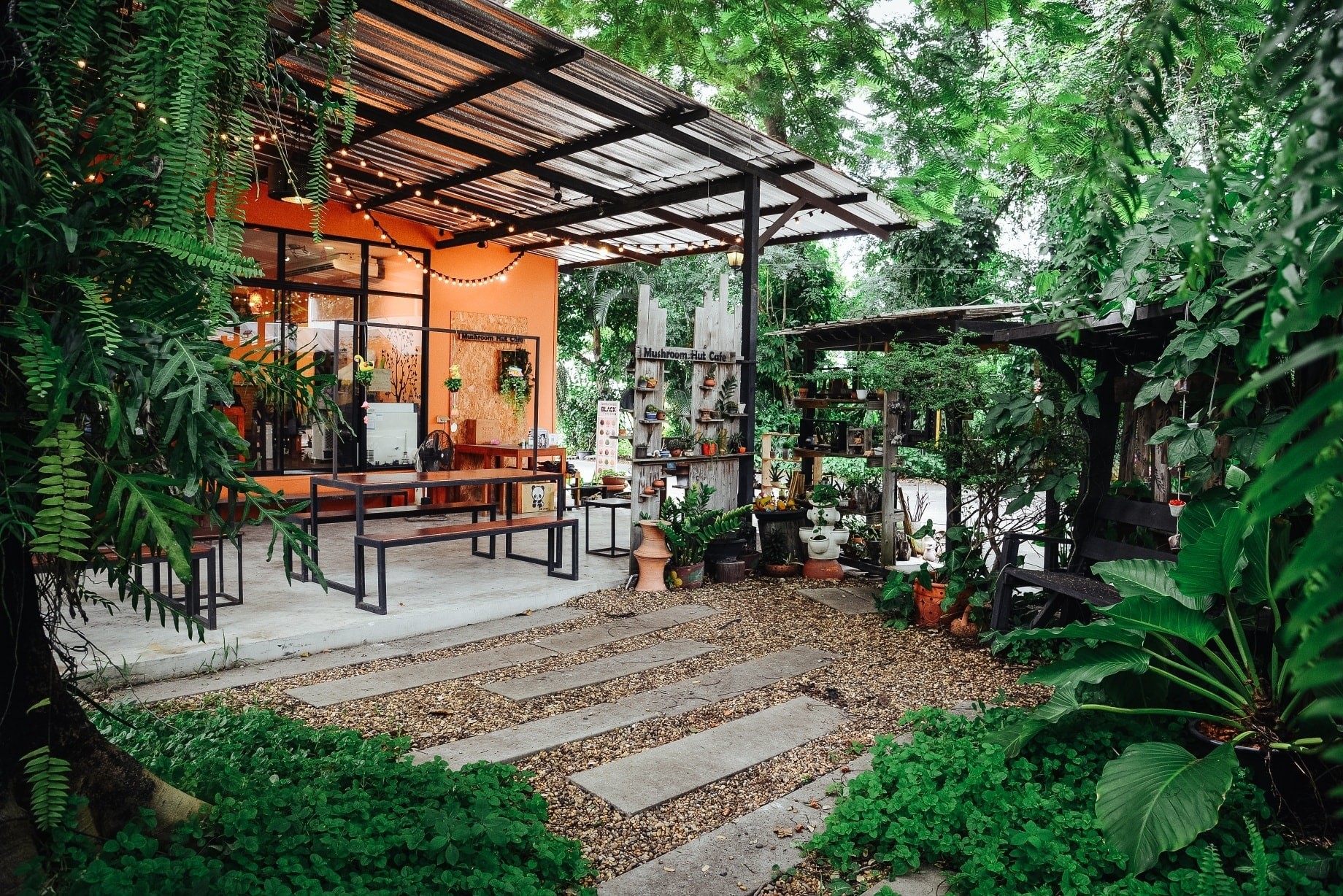 Smitten Cafe and Decor, Thong Ampai Café, THREE Cafe, Continue.cafe, Sunday in 345 cafe, Aprilhouse, The Aileen Cafe', Oliva Cafe, The Kottage Cafe, Plant Cafe, ปิ่นโตนามีตาล, Baan Kanom De'Pathum, Pumpkin Art Town, Mushroom Hut Cafe, KAD Cafe - กาด คาเฟ่, ADAM cafe