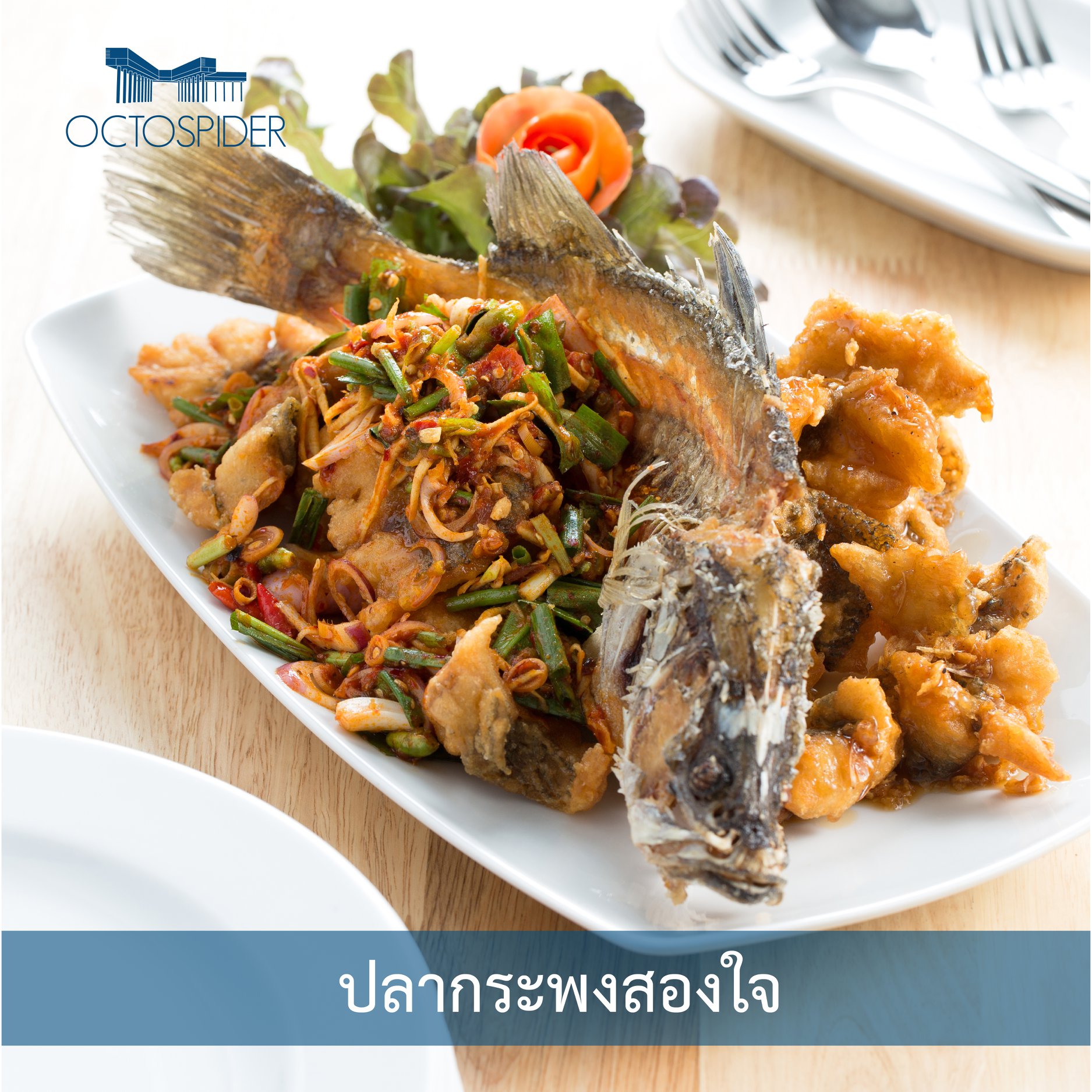 กอบัว, บ้านอาหารไทย, บ้านบัว, บ้านรั้วไม้ Cuisine &amp; Cafe, ครัวหอมมันปู, ร้านไหน อุทยานหินเขางู ราชบุรี, สวนอาหาร รางตาล, Pakmud แซ่บหมูทะ, สาขาโพธาราม, ถึงพริกถึงขิง, มะม่วงคู่, เนื้อต้มบ้านสิงห์ เจ๊ติ๋ม, โกรกแดง, ชุมทางของอร่อย, Mainichi365, Octospider restaurant, Lim cafe Photaram, ครัวตะนาวศรี สวนผึ้ง ราชบุรี, อาตี๋โกปี๊, โอปอชิฟฟ่อนเค้ก, ก๋วยเตี๋ยวปลาแม่กลอง, ติ๋มเค้กมะพร้าวอ่อน, ก๋วยเตี๋ยวโบราณป้าฮวย, โอ่งข้าวโอ่งน้ำ, ครัวม่อนไข่ สวนผึ้ง ราชบุรี, ShabuDo