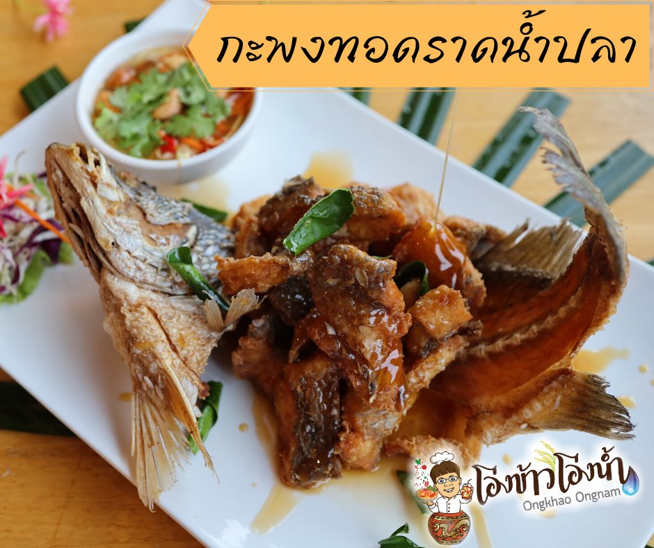 กอบัว, บ้านอาหารไทย, บ้านบัว, บ้านรั้วไม้ Cuisine &amp; Cafe, ครัวหอมมันปู, ร้านไหน อุทยานหินเขางู ราชบุรี, สวนอาหาร รางตาล, Pakmud แซ่บหมูทะ, สาขาโพธาราม, ถึงพริกถึงขิง, มะม่วงคู่, เนื้อต้มบ้านสิงห์ เจ๊ติ๋ม, โกรกแดง, ชุมทางของอร่อย, Mainichi365, Octospider restaurant, Lim cafe Photaram, ครัวตะนาวศรี สวนผึ้ง ราชบุรี, อาตี๋โกปี๊, โอปอชิฟฟ่อนเค้ก, ก๋วยเตี๋ยวปลาแม่กลอง, ติ๋มเค้กมะพร้าวอ่อน, ก๋วยเตี๋ยวโบราณป้าฮวย, โอ่งข้าวโอ่งน้ำ, ครัวม่อนไข่ สวนผึ้ง ราชบุรี, ShabuDo