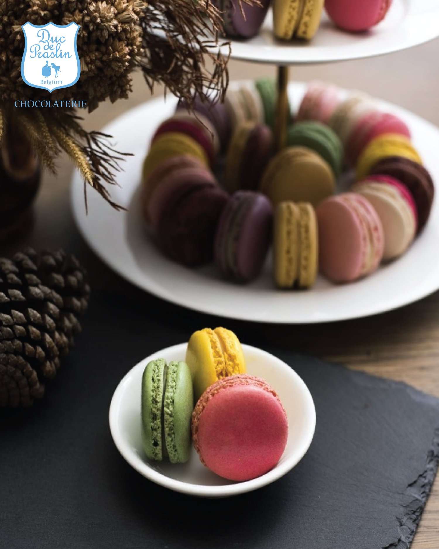 The Chocolate Factory, เยิ้ม ช็อกโกแลต - YERM​ Chocolate, PARADAi, Noir Craft Chocolate Bar, Katie Chocolaterie, PEAK Chocolate Passionist, Royce' Chocolate Thailand