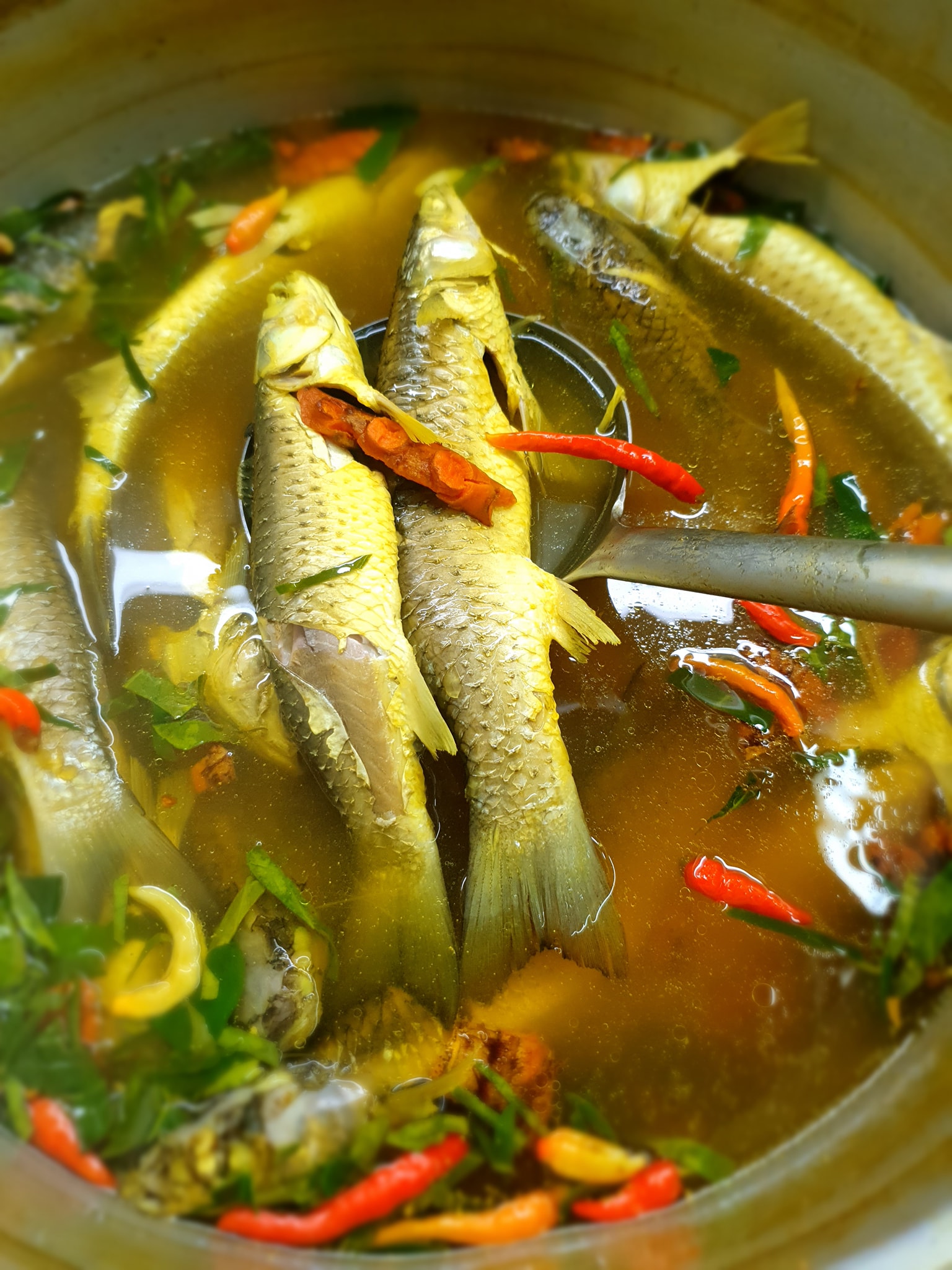 ครัวจำแลง แปลงกาย, ยุ้งข้าวหอม, ขมิ้น Camin Cuisine &amp; Cafe, สาขาอารีย์, ละมุนลิ้น โฮม คิทเช่น, ภูเก็จ, Bistro Palette, Aim.Bangkok, บ้านสะใภ้ใต้, ครัวข้าวหอม แกงปักษ์ใต้, บ้านไอซ์, Paknang.bkk, คุ้น•เคย Eatery, Cafe &amp; Bar, ครัวรสนคร, ครัวคุณอิ้น, สาขาเลียบทางด่วนรามอินทรา, ครัวปากพนัง (อาหารปักษ์ใต้), ปรายระย้า, เรือนแม่หลุย, มัลลิกา ชุมพร อาหารปักษ์ใต้