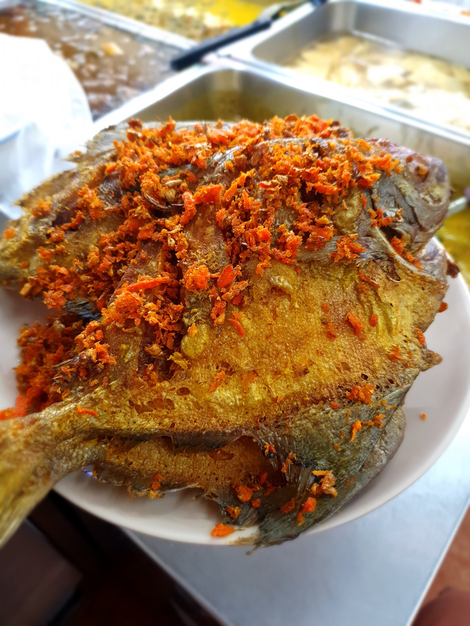 ครัวจำแลง แปลงกาย, ยุ้งข้าวหอม, ขมิ้น Camin Cuisine &amp; Cafe, สาขาอารีย์, ละมุนลิ้น โฮม คิทเช่น, ภูเก็จ, Bistro Palette, Aim.Bangkok, บ้านสะใภ้ใต้, ครัวข้าวหอม แกงปักษ์ใต้, บ้านไอซ์, Paknang.bkk, คุ้น•เคย Eatery, Cafe &amp; Bar, ครัวรสนคร, ครัวคุณอิ้น, สาขาเลียบทางด่วนรามอินทรา, ครัวปากพนัง (อาหารปักษ์ใต้), ปรายระย้า, เรือนแม่หลุย, มัลลิกา ชุมพร อาหารปักษ์ใต้