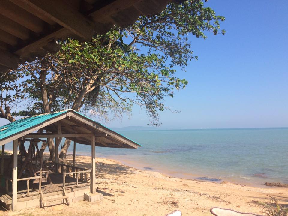 ครัวผักสด, Iconic Club Style, แก้วติ่มซำ, ตำ มึน มึน น., สวนอาหารริเวอร์ไซด์การเด้น, ยายปวด, ลุย, นิวแซ่บสุดซอย, ครัวตาอ้อซีฟู๊ด ชุมพร, ลุงเผล็นกุ้งหลวง, แม่ไม้ซีฟู้ด, ครัวสวนตาจี๊ด, ฟารีดาชาโรตี สาขาชุมพร, ก๋วยเตี๋ยวเนื้อนายดำ, ครัวทุ่งแพะ, บ้านพรรคพวก, ร้านอาหารตะเกียงไทยชุมพร, โกเหลียง, ครัวบ้านริมน้ำ ไร่ล่างซิตี้, พนังตักซีฟู๊ด คาเฟ่&amp;บาร์, ติ่มซำ หอเจี๊ยะ at ชุมพร, ครัวคุณจักษ์