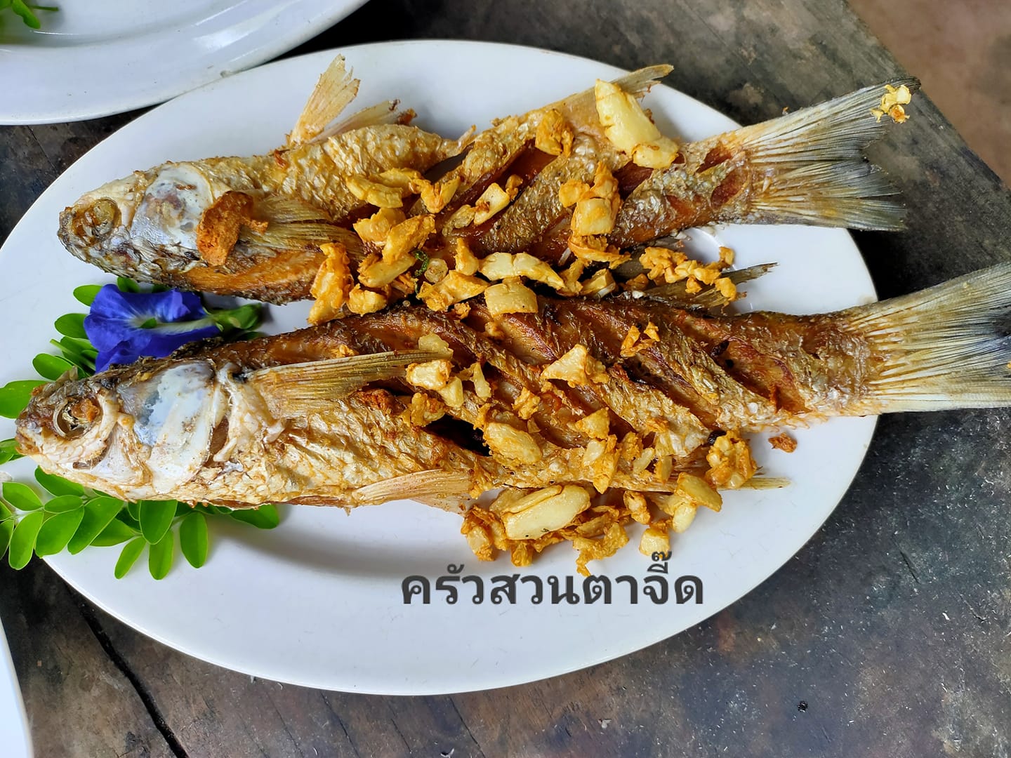 ครัวผักสด, Iconic Club Style, แก้วติ่มซำ, ตำ มึน มึน น., สวนอาหารริเวอร์ไซด์การเด้น, ยายปวด, ลุย, นิวแซ่บสุดซอย, ครัวตาอ้อซีฟู๊ด ชุมพร, ลุงเผล็นกุ้งหลวง, แม่ไม้ซีฟู้ด, ครัวสวนตาจี๊ด, ฟารีดาชาโรตี สาขาชุมพร, ก๋วยเตี๋ยวเนื้อนายดำ, ครัวทุ่งแพะ, บ้านพรรคพวก, ร้านอาหารตะเกียงไทยชุมพร, โกเหลียง, ครัวบ้านริมน้ำ ไร่ล่างซิตี้, พนังตักซีฟู๊ด คาเฟ่&amp;บาร์, ติ่มซำ หอเจี๊ยะ at ชุมพร, ครัวคุณจักษ์