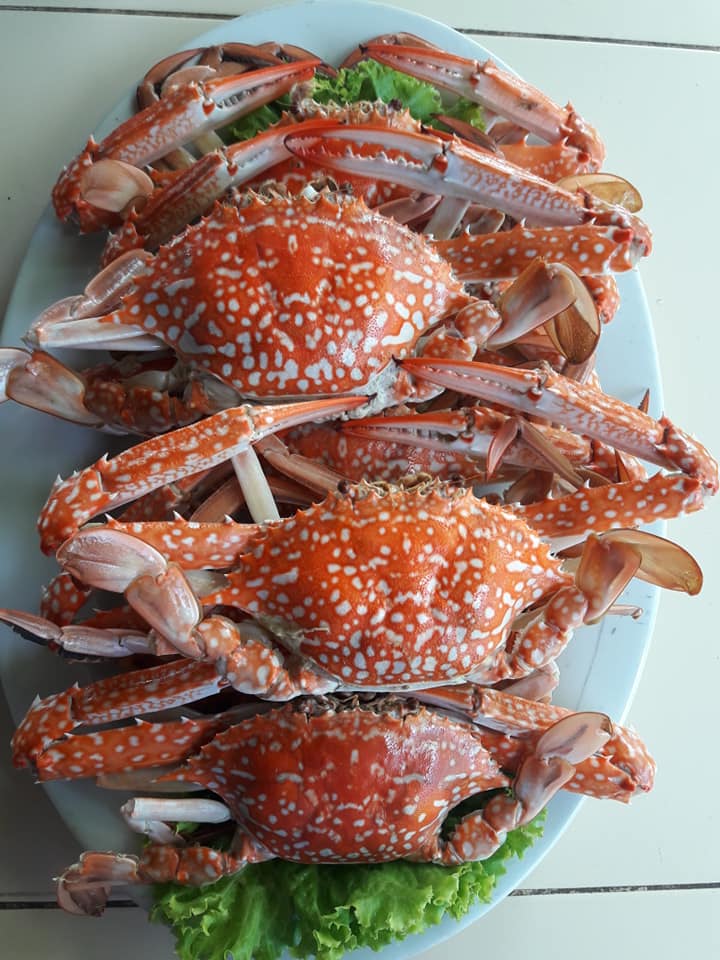 ครัวผักสด, Iconic Club Style, แก้วติ่มซำ, ตำ มึน มึน น., สวนอาหารริเวอร์ไซด์การเด้น, ยายปวด, ลุย, นิวแซ่บสุดซอย, ครัวตาอ้อซีฟู๊ด ชุมพร, ลุงเผล็นกุ้งหลวง, แม่ไม้ซีฟู้ด, ครัวสวนตาจี๊ด, ฟารีดาชาโรตี สาขาชุมพร, ก๋วยเตี๋ยวเนื้อนายดำ, ครัวทุ่งแพะ, บ้านพรรคพวก, ร้านอาหารตะเกียงไทยชุมพร, โกเหลียง, ครัวบ้านริมน้ำ ไร่ล่างซิตี้, พนังตักซีฟู๊ด คาเฟ่&amp;บาร์, ติ่มซำ หอเจี๊ยะ at ชุมพร, ครัวคุณจักษ์