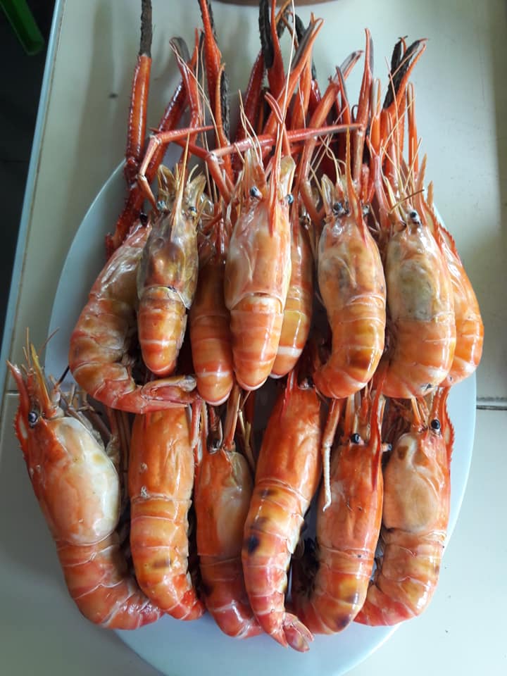 ครัวผักสด, Iconic Club Style, แก้วติ่มซำ, ตำ มึน มึน น., สวนอาหารริเวอร์ไซด์การเด้น, ยายปวด, ลุย, นิวแซ่บสุดซอย, ครัวตาอ้อซีฟู๊ด ชุมพร, ลุงเผล็นกุ้งหลวง, แม่ไม้ซีฟู้ด, ครัวสวนตาจี๊ด, ฟารีดาชาโรตี สาขาชุมพร, ก๋วยเตี๋ยวเนื้อนายดำ, ครัวทุ่งแพะ, บ้านพรรคพวก, ร้านอาหารตะเกียงไทยชุมพร, โกเหลียง, ครัวบ้านริมน้ำ ไร่ล่างซิตี้, พนังตักซีฟู๊ด คาเฟ่&amp;บาร์, ติ่มซำ หอเจี๊ยะ at ชุมพร, ครัวคุณจักษ์