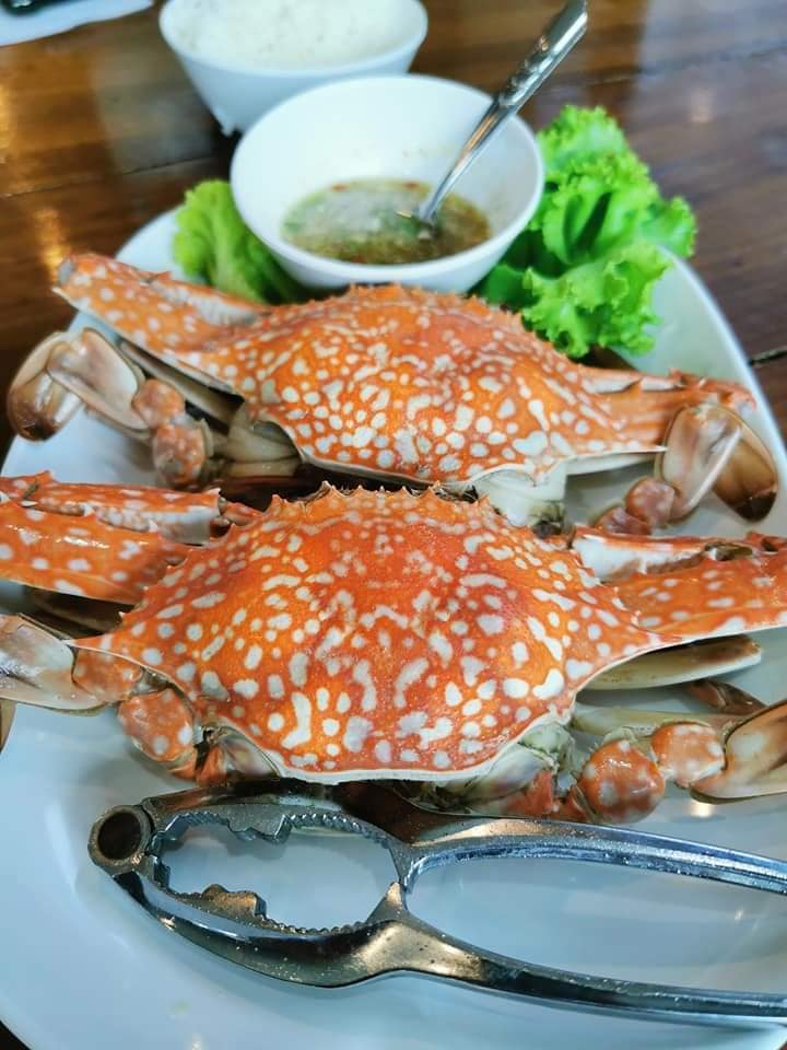 ครัวผักสด, Iconic Club Style, แก้วติ่มซำ, ตำ มึน มึน น., สวนอาหารริเวอร์ไซด์การเด้น, ยายปวด, ลุย, นิวแซ่บสุดซอย, ครัวตาอ้อซีฟู๊ด ชุมพร, ลุงเผล็นกุ้งหลวง, แม่ไม้ซีฟู้ด, ครัวสวนตาจี๊ด, ฟารีดาชาโรตี สาขาชุมพร, ก๋วยเตี๋ยวเนื้อนายดำ, ครัวทุ่งแพะ, บ้านพรรคพวก, ร้านอาหารตะเกียงไทยชุมพร, โกเหลียง, ครัวบ้านริมน้ำ ไร่ล่างซิตี้, พนังตักซีฟู๊ด คาเฟ่&amp;บาร์, ติ่มซำ หอเจี๊ยะ at ชุมพร, ครัวคุณจักษ์