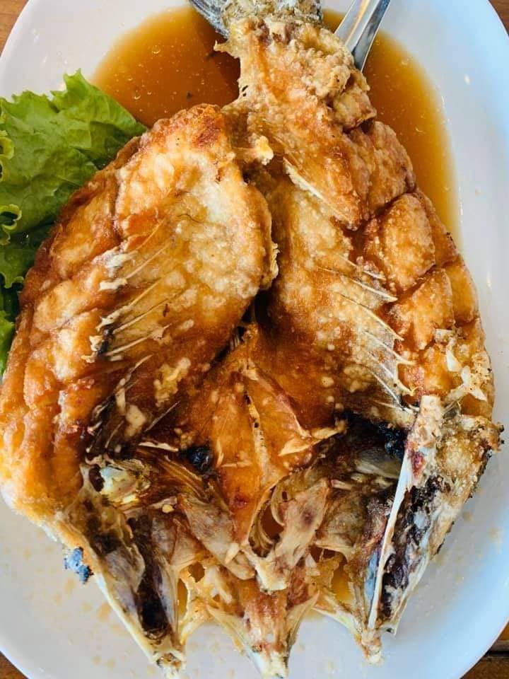 ครัวผักสด, Iconic Club Style, แก้วติ่มซำ, ตำ มึน มึน น., สวนอาหารริเวอร์ไซด์การเด้น, ยายปวด, ลุย, นิวแซ่บสุดซอย, ครัวตาอ้อซีฟู๊ด ชุมพร, ลุงเผล็นกุ้งหลวง, แม่ไม้ซีฟู้ด, ครัวสวนตาจี๊ด, ฟารีดาชาโรตี สาขาชุมพร, ก๋วยเตี๋ยวเนื้อนายดำ, ครัวทุ่งแพะ, บ้านพรรคพวก, ร้านอาหารตะเกียงไทยชุมพร, โกเหลียง, ครัวบ้านริมน้ำ ไร่ล่างซิตี้, พนังตักซีฟู๊ด คาเฟ่&amp;บาร์, ติ่มซำ หอเจี๊ยะ at ชุมพร, ครัวคุณจักษ์