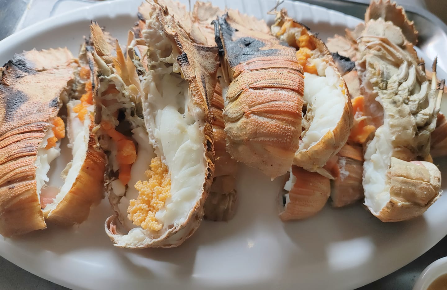 ครัวผักสด, Iconic Club Style, แก้วติ่มซำ, ตำ มึน มึน น., สวนอาหารริเวอร์ไซด์การเด้น, ยายปวด, ลุย, นิวแซ่บสุดซอย, ครัวตาอ้อซีฟู๊ด ชุมพร, ลุงเผล็นกุ้งหลวง, แม่ไม้ซีฟู้ด, ครัวสวนตาจี๊ด, ฟารีดาชาโรตี สาขาชุมพร, ก๋วยเตี๋ยวเนื้อนายดำ, ครัวทุ่งแพะ, บ้านพรรคพวก, ร้านอาหารตะเกียงไทยชุมพร, โกเหลียง, ครัวบ้านริมน้ำ ไร่ล่างซิตี้, พนังตักซีฟู๊ด คาเฟ่&amp;บาร์, ติ่มซำ หอเจี๊ยะ at ชุมพร, ครัวคุณจักษ์