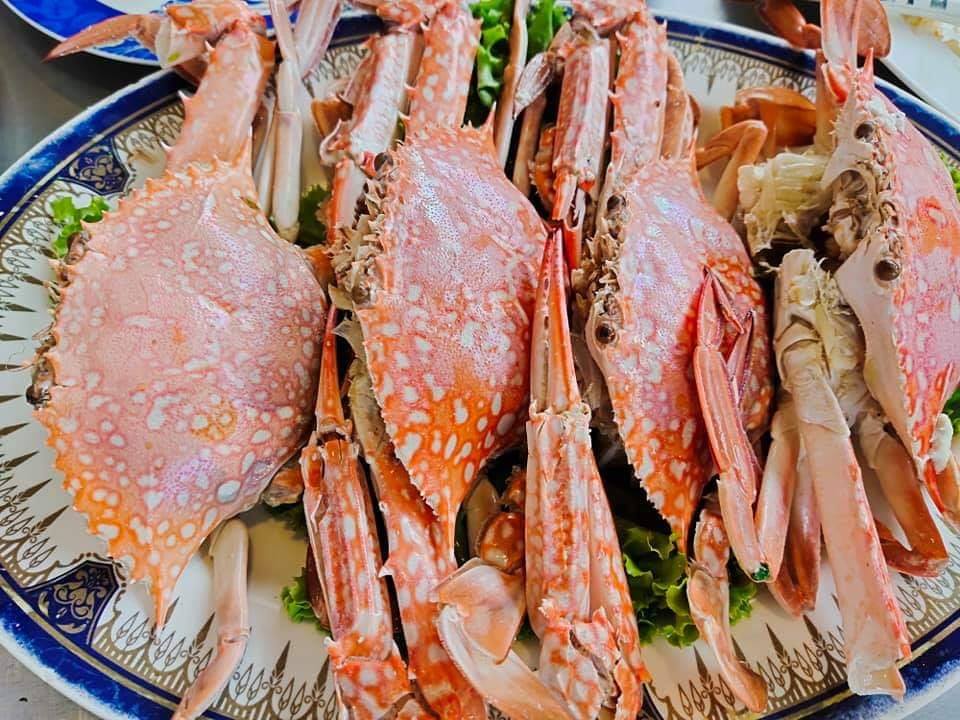 อุ่นใจริเวอร์ไซด์, สมพงศ์ ซีฟู๊ด, แป๊ะเก๊า โภชนา, ครัวบ้านเปิ้ล, ครัวปีกไม้, PLAY FARM Restaurant, เปียอู๋ โภชนา, ส้มตำดนตรี, สาขาเทพารักษ์, นายหมาทะเลมีชีวิต ตำหรุ, ครัวบุญเลิศ บางปู