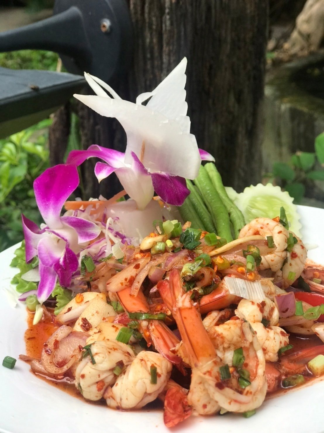 บ้านสวย ในสวน, Siam Brasserie , The Treehouse Nongchok, Natura Cafe, BaanNaiSuan Cafe&amp;Yoga, Patom, Portobello &amp; Désiré, ครัวบ้านสวนสุวรรณ, ร้านอาหารฐิตารีย์ สวนรถไฟ จตุจักร, บ้านสวน อบอวลรัก