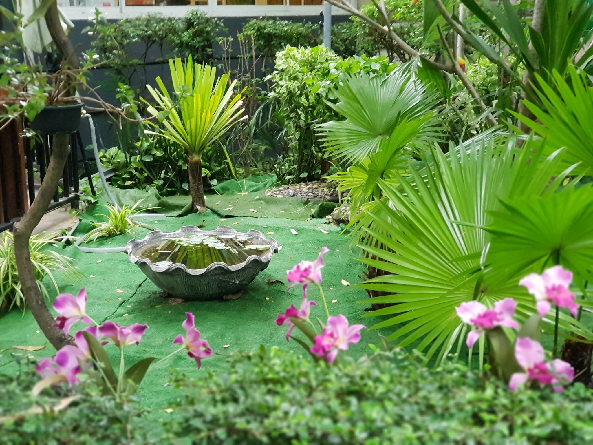 บ้านสวย ในสวน, Siam Brasserie , The Treehouse Nongchok, Natura Cafe, BaanNaiSuan Cafe&amp;Yoga, Patom, Portobello &amp; Désiré, ครัวบ้านสวนสุวรรณ, ร้านอาหารฐิตารีย์ สวนรถไฟ จตุจักร, บ้านสวน อบอวลรัก