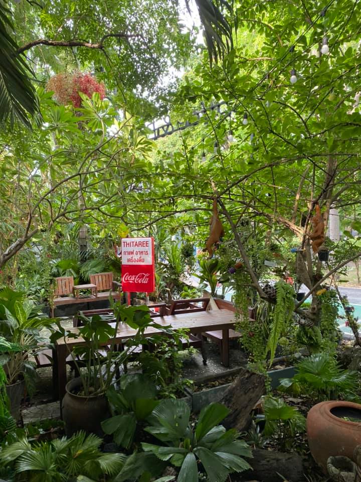 บ้านสวย ในสวน, Siam Brasserie , The Treehouse Nongchok, Natura Cafe, BaanNaiSuan Cafe&amp;Yoga, Patom, Portobello &amp; Désiré, ครัวบ้านสวนสุวรรณ, ร้านอาหารฐิตารีย์ สวนรถไฟ จตุจักร, บ้านสวน อบอวลรัก