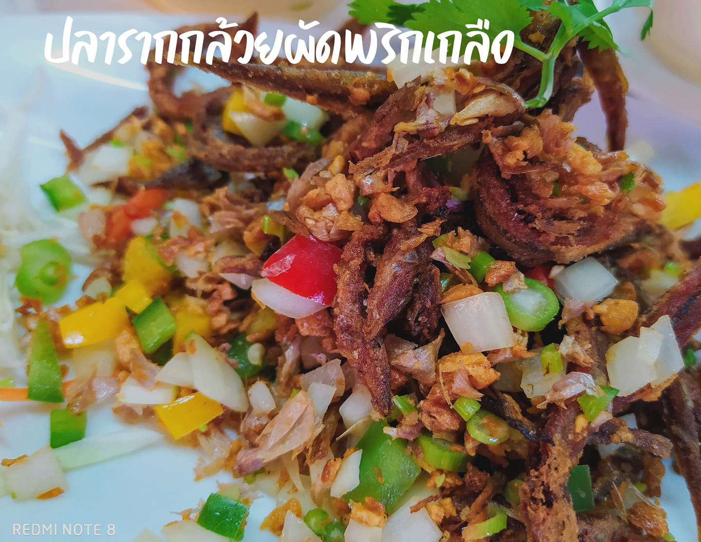 อองตอง ข้าวซอย, ครัวลุงแฉ่ว, Thien Duong, เจ๊โอว, บ้านต้นไทร, ข้าวต้มปลา (กิมโป้), Mezzaluna Restaurant, ครัวอัปษร, ศรีตราด, แม่กลองหัวปลาหม้อไฟ ปูไข่นึ่งนม, Tonkin - Annam, Baan Phadthai, ฉ่อยเป็ดย่าง, ผัดไทยไฟทะลุ, แสนยอด, ครัวลุงลอยป่าลั่น, ลิ้มเหล่าโหงว, สาขาเยาวราช, ภัตตาคารจ๊ากกี่, Lay lao, Punjab Grill Bangkok, ส้มตำคุณกัญจณ์