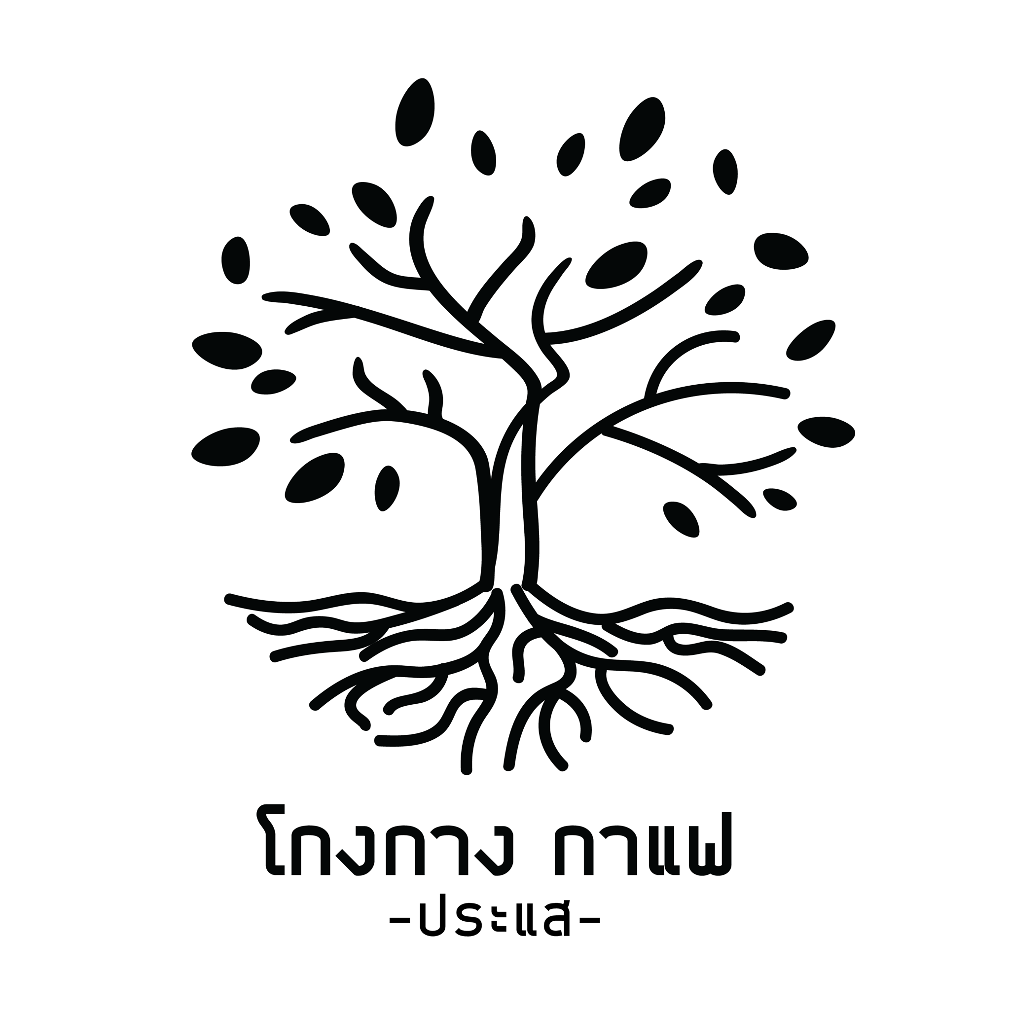 CURVE, STIRR Coffee, Haus Coffee and Space, SeaSeoul cafe, 1degreesnorth, Kongkang Kafe, กาเเฟริมน้ำ บ้านชูใจ, สวนก๋ง, กาแฟบ้านทวด, COFFEE BEACH, Jump at Sea, Whitebeam coffee &amp; eatery