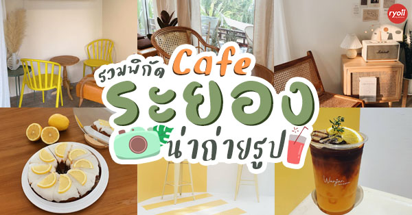 CURVE, STIRR Coffee, Haus Coffee and Space, SeaSeoul cafe, 1degreesnorth, Kongkang Kafe, กาเเฟริมน้ำ บ้านชูใจ, สวนก๋ง, กาแฟบ้านทวด, COFFEE BEACH, Jump at Sea, Whitebeam coffee &amp; eatery