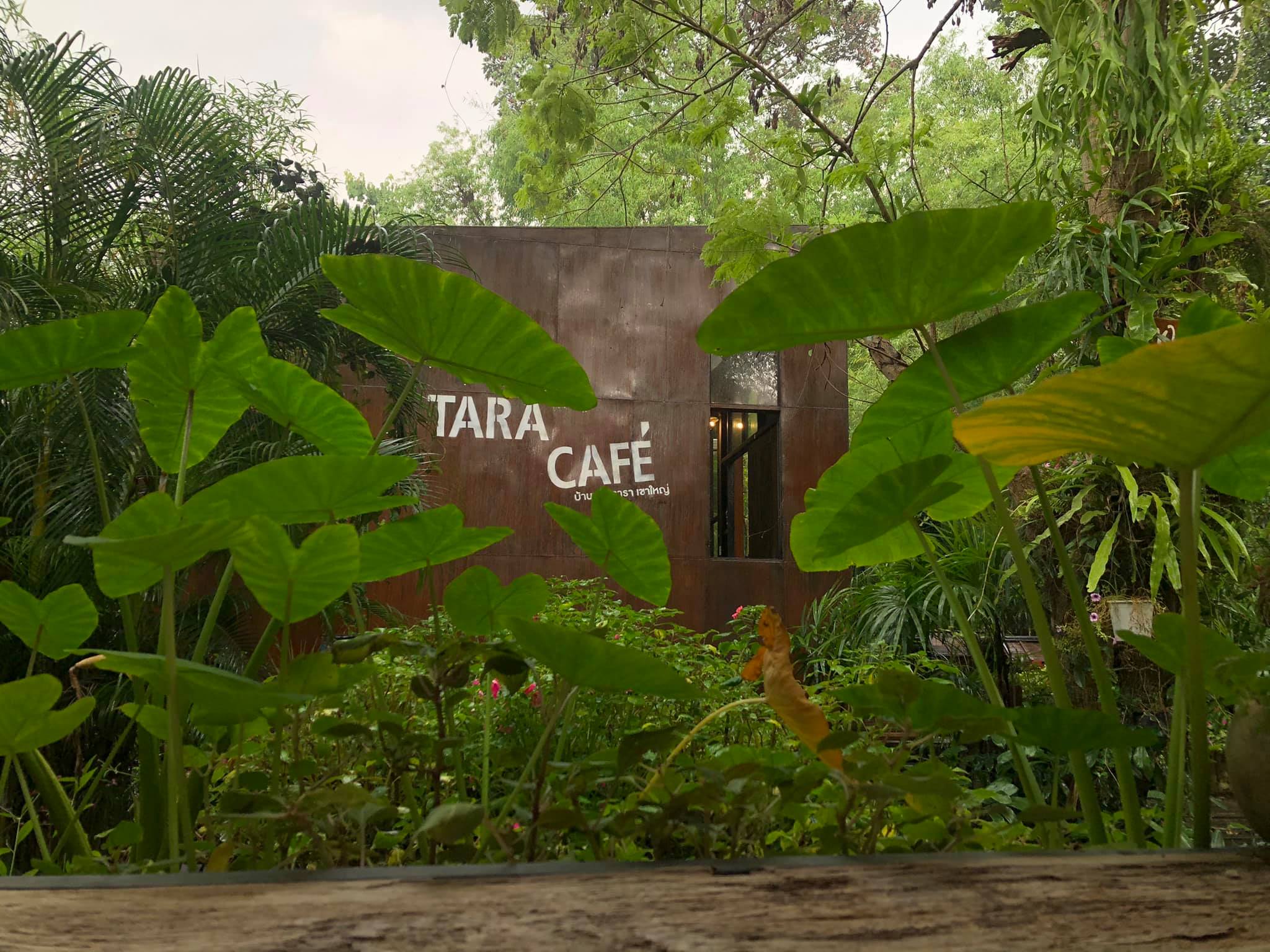 Bok Bok Society, 88Coffee in khaoyai, The Creek @Khao Yai, TARA CAFE' Khaoyai, Pirom Cafe