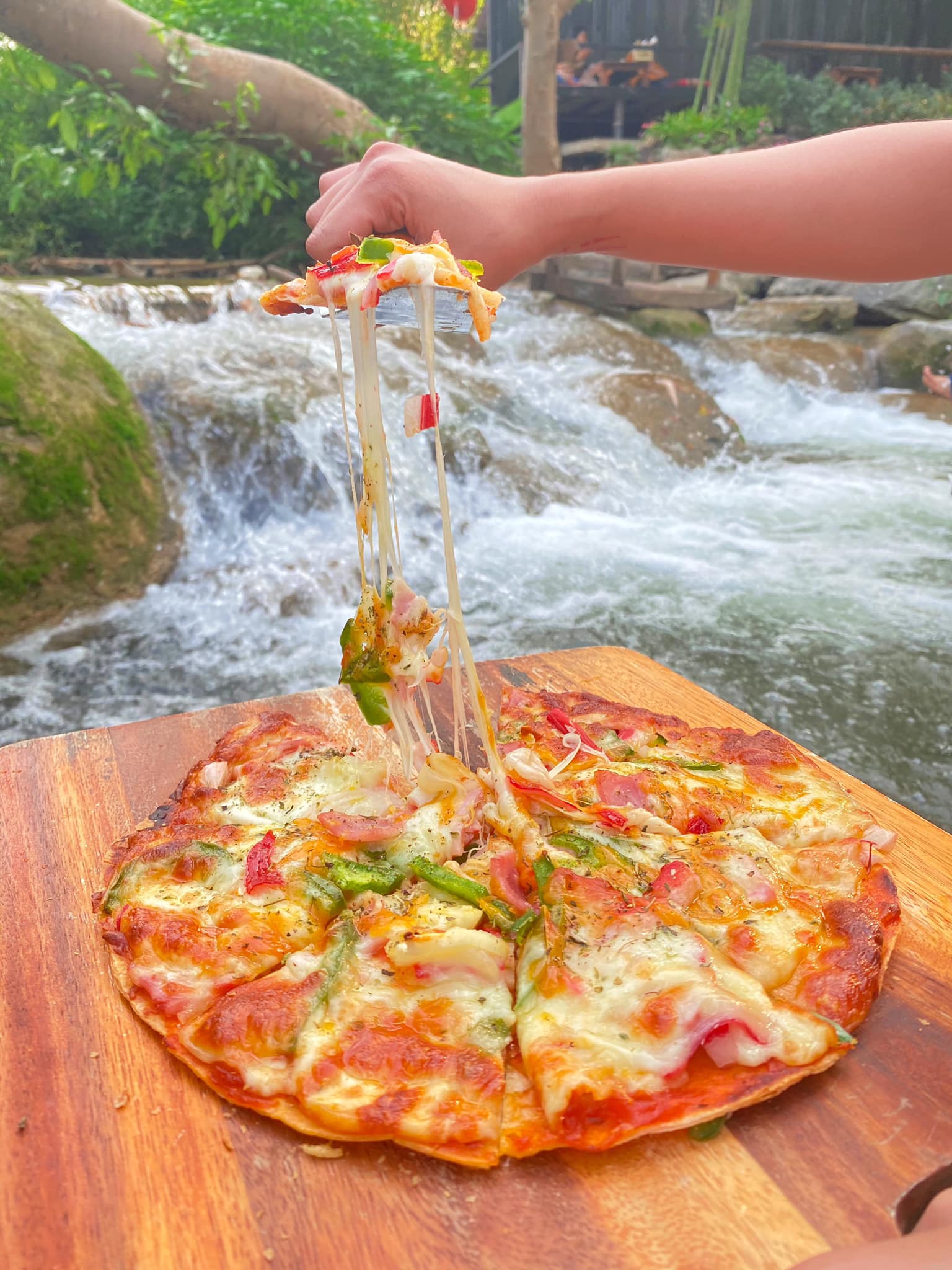 Bok Bok Society, 88Coffee in khaoyai, The Creek @Khao Yai, TARA CAFE' Khaoyai, Pirom Cafe