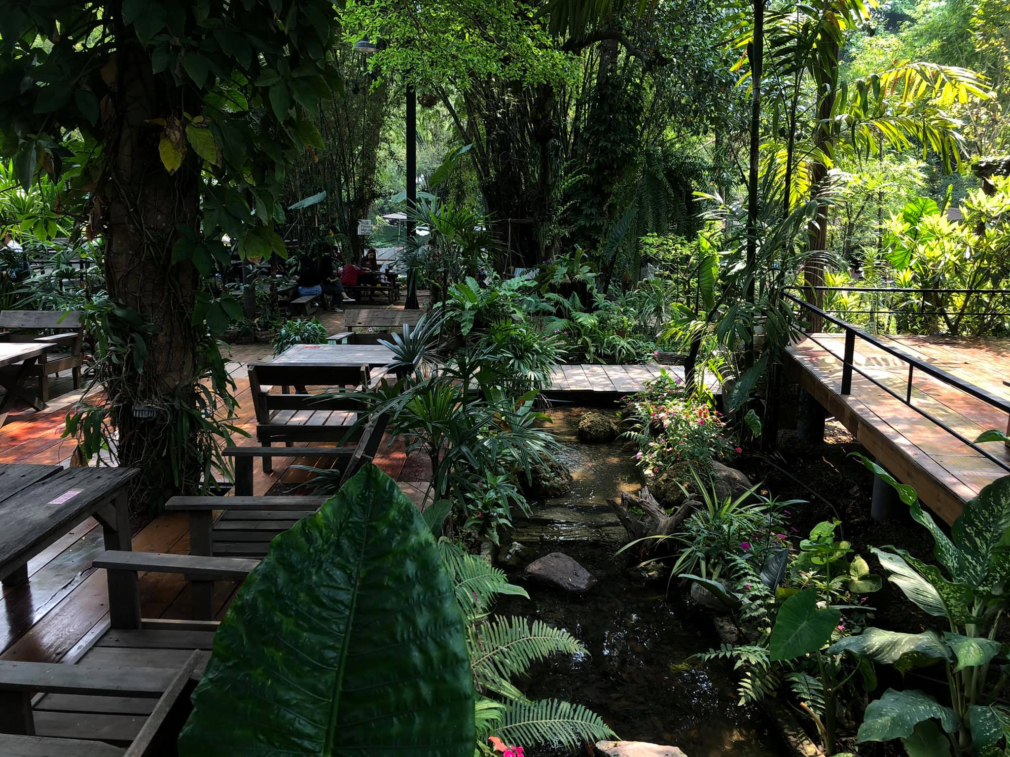 Bok Bok Society, 88Coffee in khaoyai, The Creek @Khao Yai, TARA CAFE' Khaoyai, Pirom Cafe