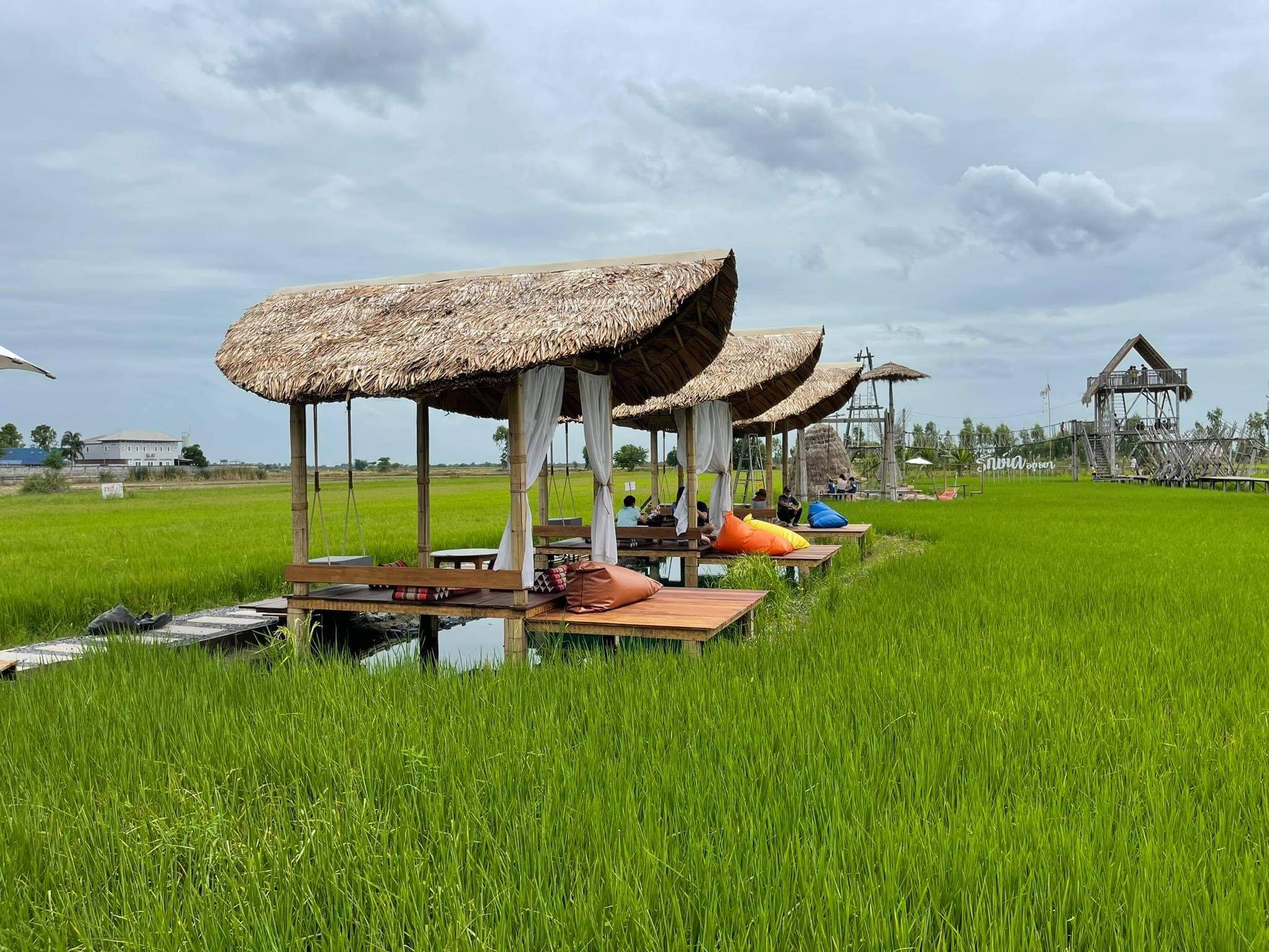 NAYA Cafe, Krasai.cafe, Sanoh at Ayutthaya, ชีวาคาเฟ่, FENG, Tewa Cafe Ayutthaya, Homeboy, PRANG VIEW, Peko Peko Cafe - ペ コ ペ コ, A Lovely Table, Busaba Cafe &amp; Meal, WIWA House Cafe', The Summer House, Phoyard, Cafe' de Zia, Café Kantary Ayutthaya, บ้านข้าวหนม, Basic Space Coffee, Cafe'Trifecta, ในคลองคาเฟ่, ไม้ขาวคาเฟ่ ayutthaya, ชงนวล'Cafe