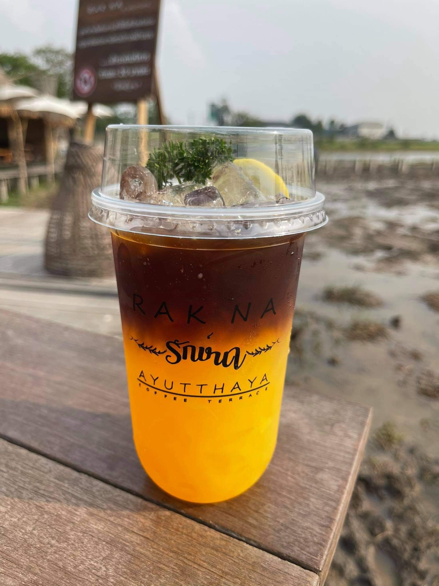 NAYA Cafe, Krasai.cafe, Sanoh at Ayutthaya, ชีวาคาเฟ่, FENG, Tewa Cafe Ayutthaya, Homeboy, PRANG VIEW, Peko Peko Cafe - ペ コ ペ コ, A Lovely Table, Busaba Cafe &amp; Meal, WIWA House Cafe', The Summer House, Phoyard, Cafe' de Zia, Café Kantary Ayutthaya, บ้านข้าวหนม, Basic Space Coffee, Cafe'Trifecta, ในคลองคาเฟ่, ไม้ขาวคาเฟ่ ayutthaya, ชงนวล'Cafe