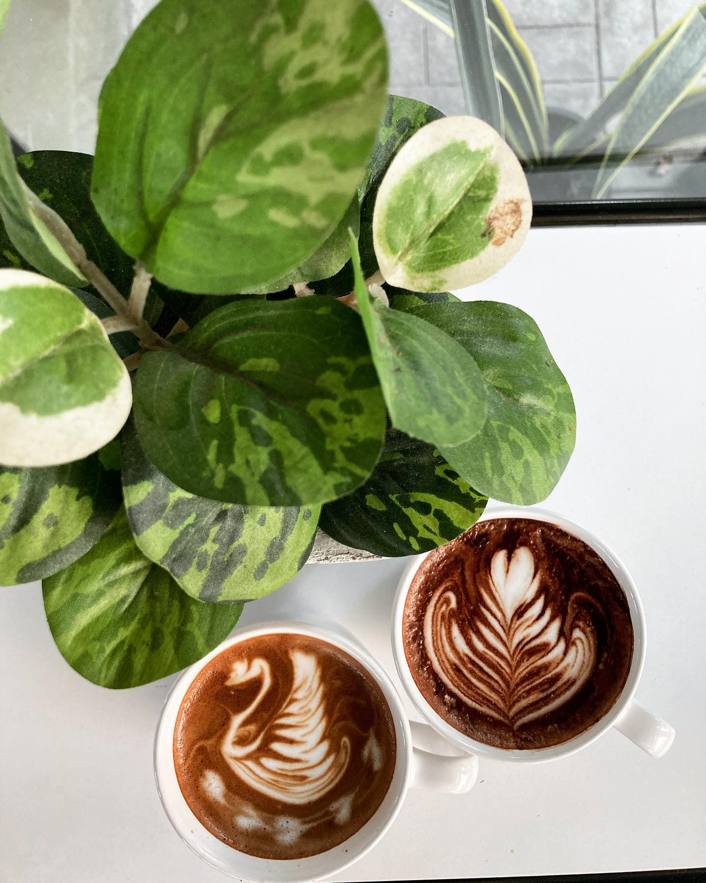 อร่อยเด็ด, ร้านข้าวต้มนายอ๋า, ร้านฟ้ามุ่ย, ร้านสุธาทิพย์, Blue Tree coffeebar, ร้านชั่งเส็ง ก๋วยเตี๋ยวลูกชิ้นปลา (เจ้เกียว), Pat Cafe Boraan แพท คาเฟ่ โบราณ, อ้วนโภชนา อาหารไทย อีสาน , ครัวป้าแดงบางลำพู, Cafe' Velodome