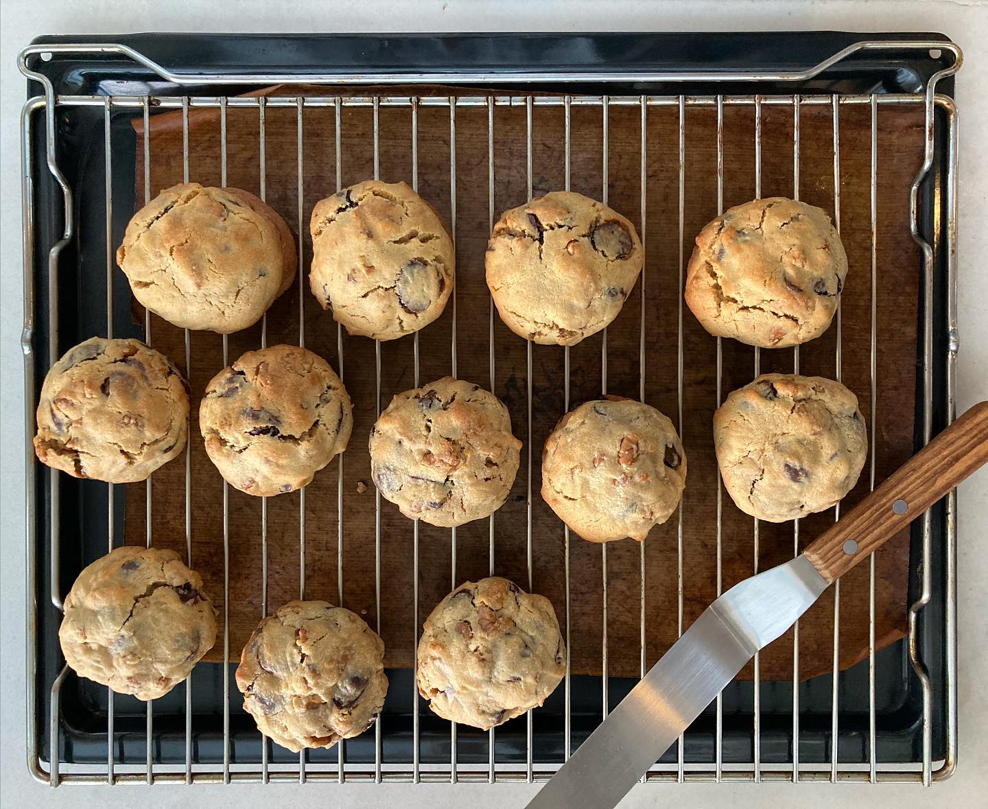 อร่อยเด็ด, ร้านข้าวต้มนายอ๋า, ร้านฟ้ามุ่ย, ร้านสุธาทิพย์, Blue Tree coffeebar, ร้านชั่งเส็ง ก๋วยเตี๋ยวลูกชิ้นปลา (เจ้เกียว), Pat Cafe Boraan แพท คาเฟ่ โบราณ, อ้วนโภชนา อาหารไทย อีสาน , ครัวป้าแดงบางลำพู, Cafe' Velodome